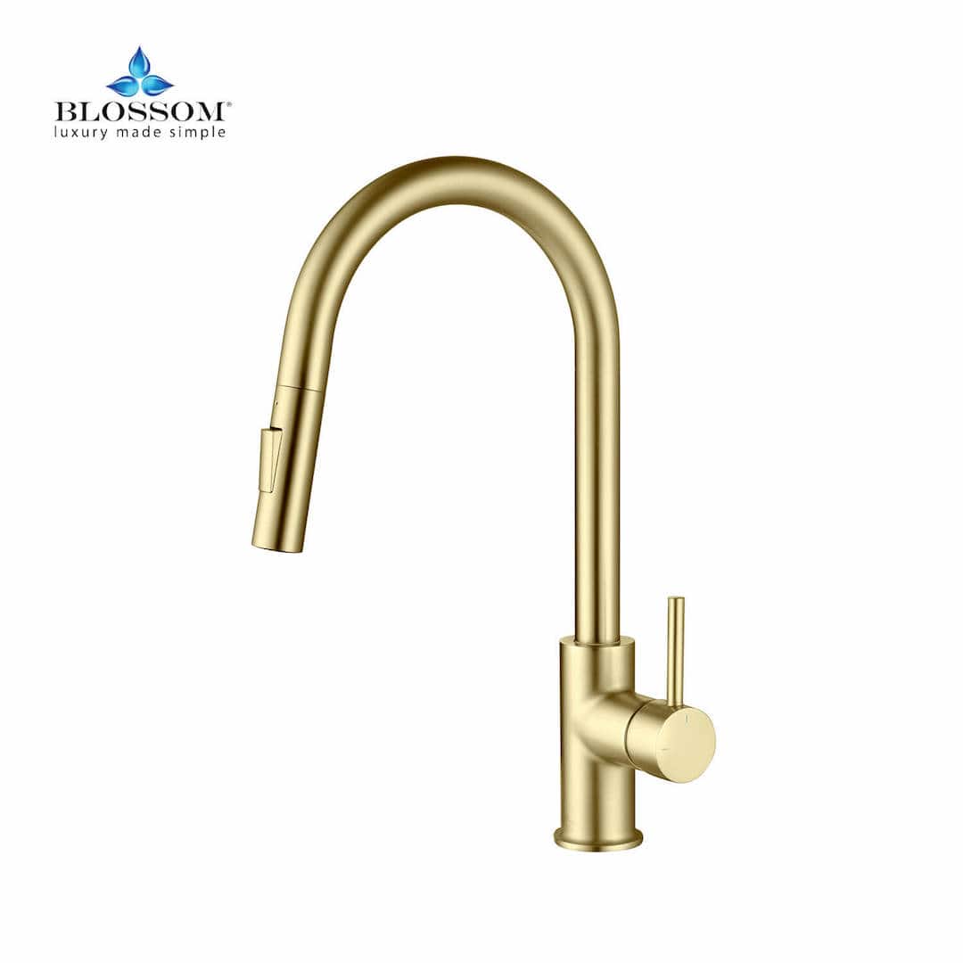 Single Handle Pull Down Kitchen Faucet - F01 206