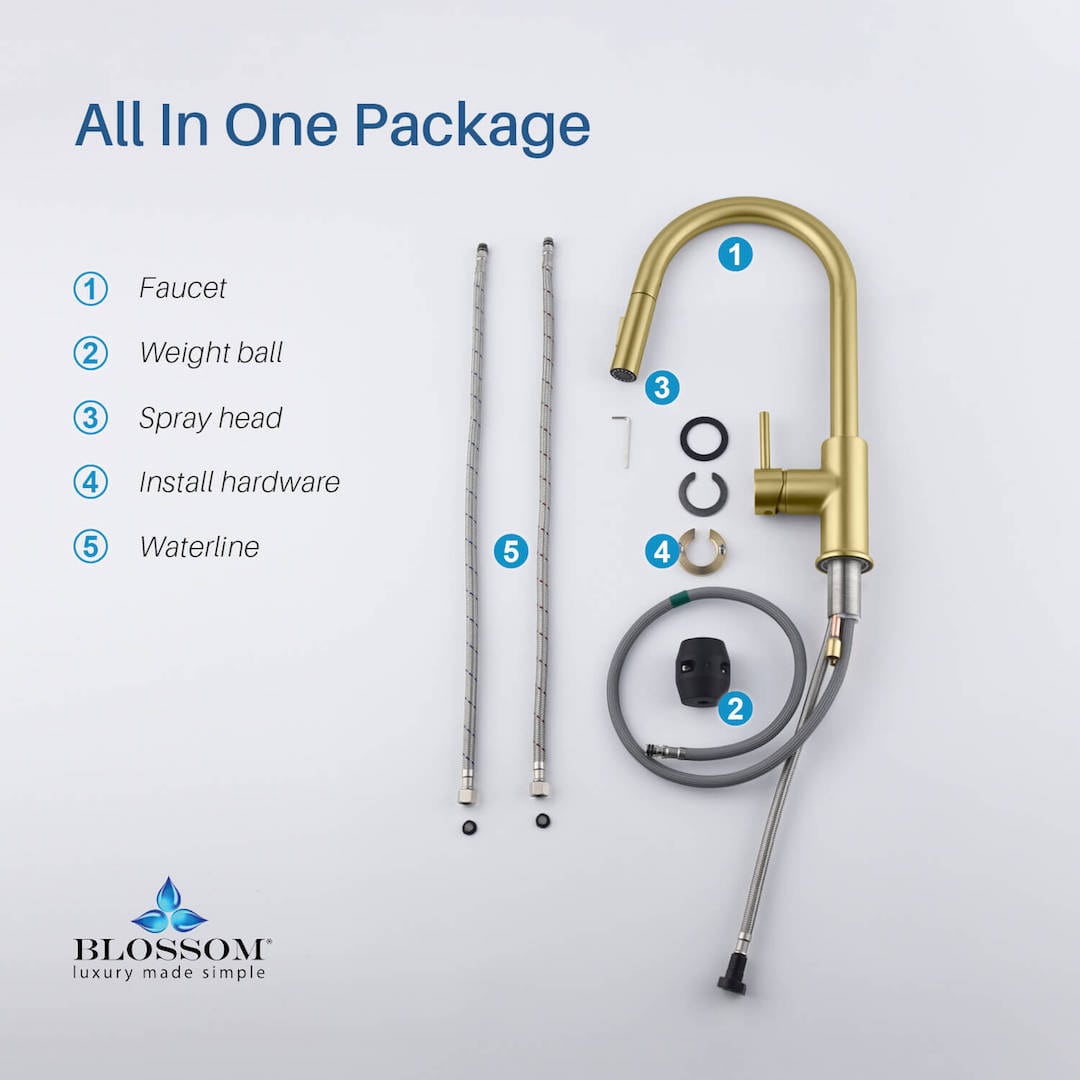 Single Handle Pull Down Kitchen Faucet - F01 206