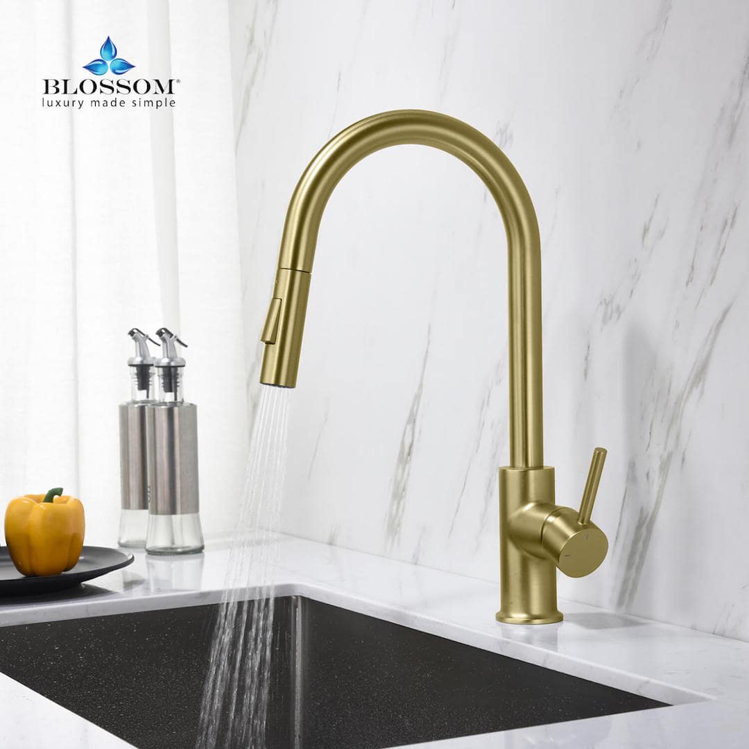 Single Handle Pull Down Kitchen Faucet - F01 206