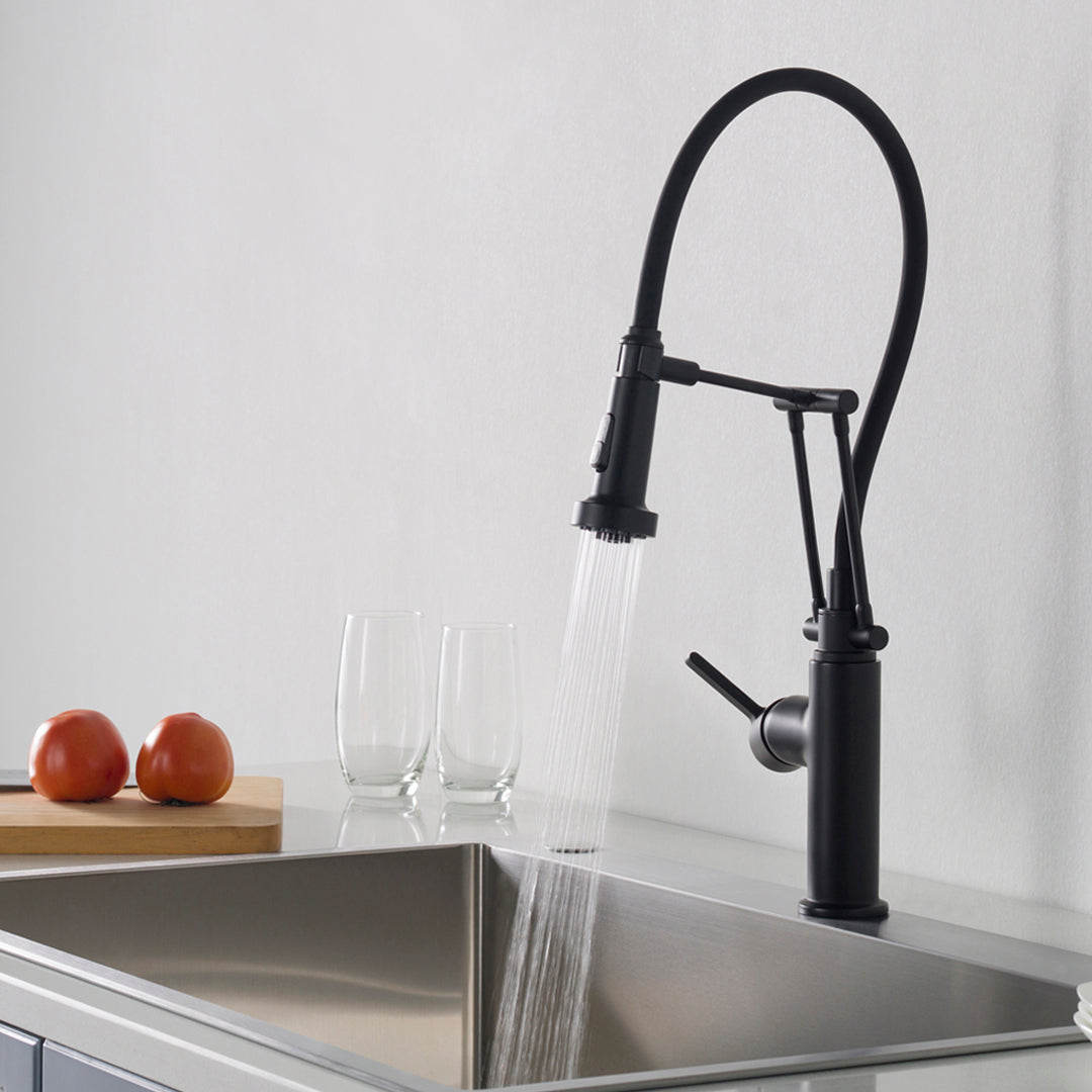 Single Handle Pull Out Kitchen Faucet - F01 208