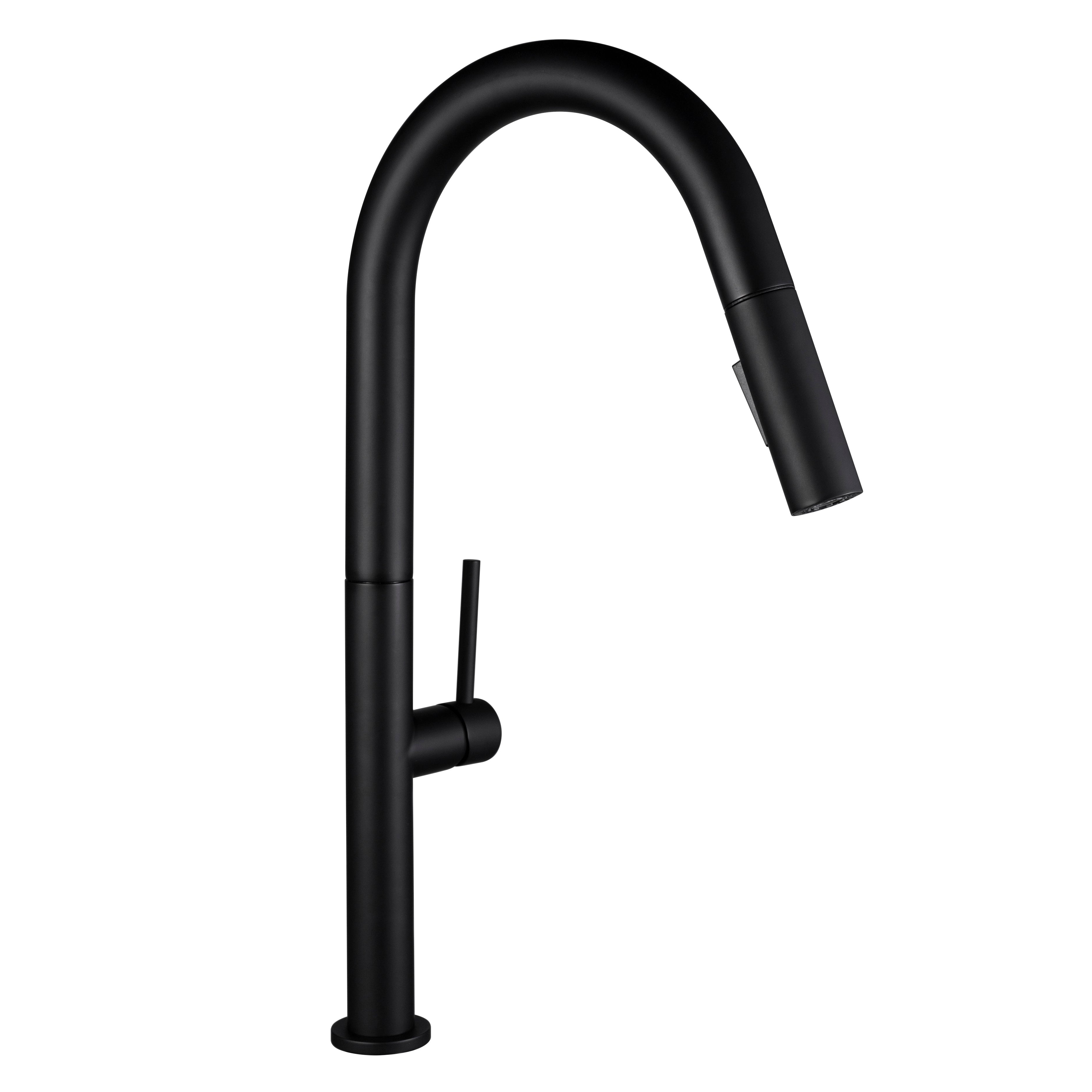 Stream™ Pull-Out Kitchen Faucet