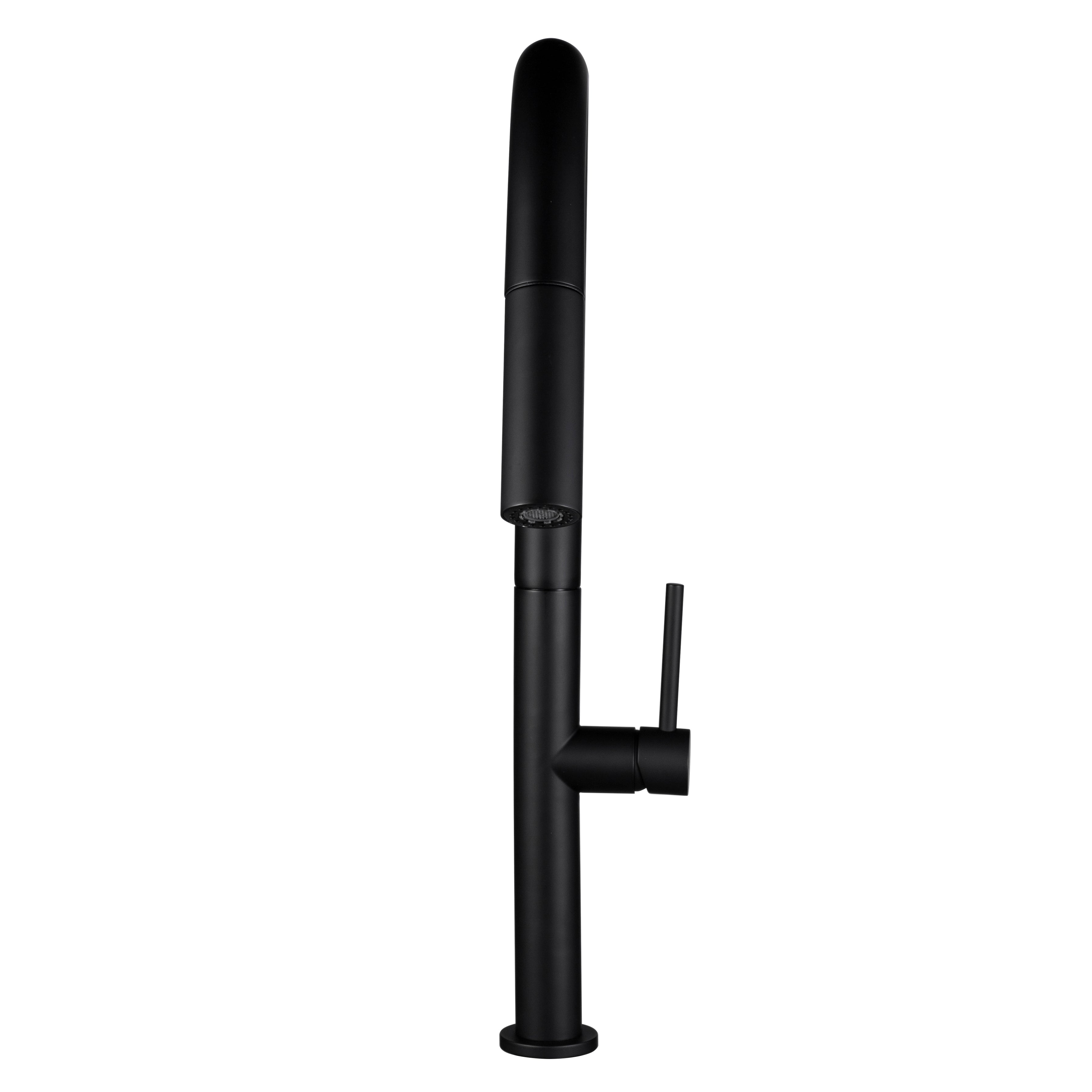 Stream™ Pull-Out Kitchen Faucet