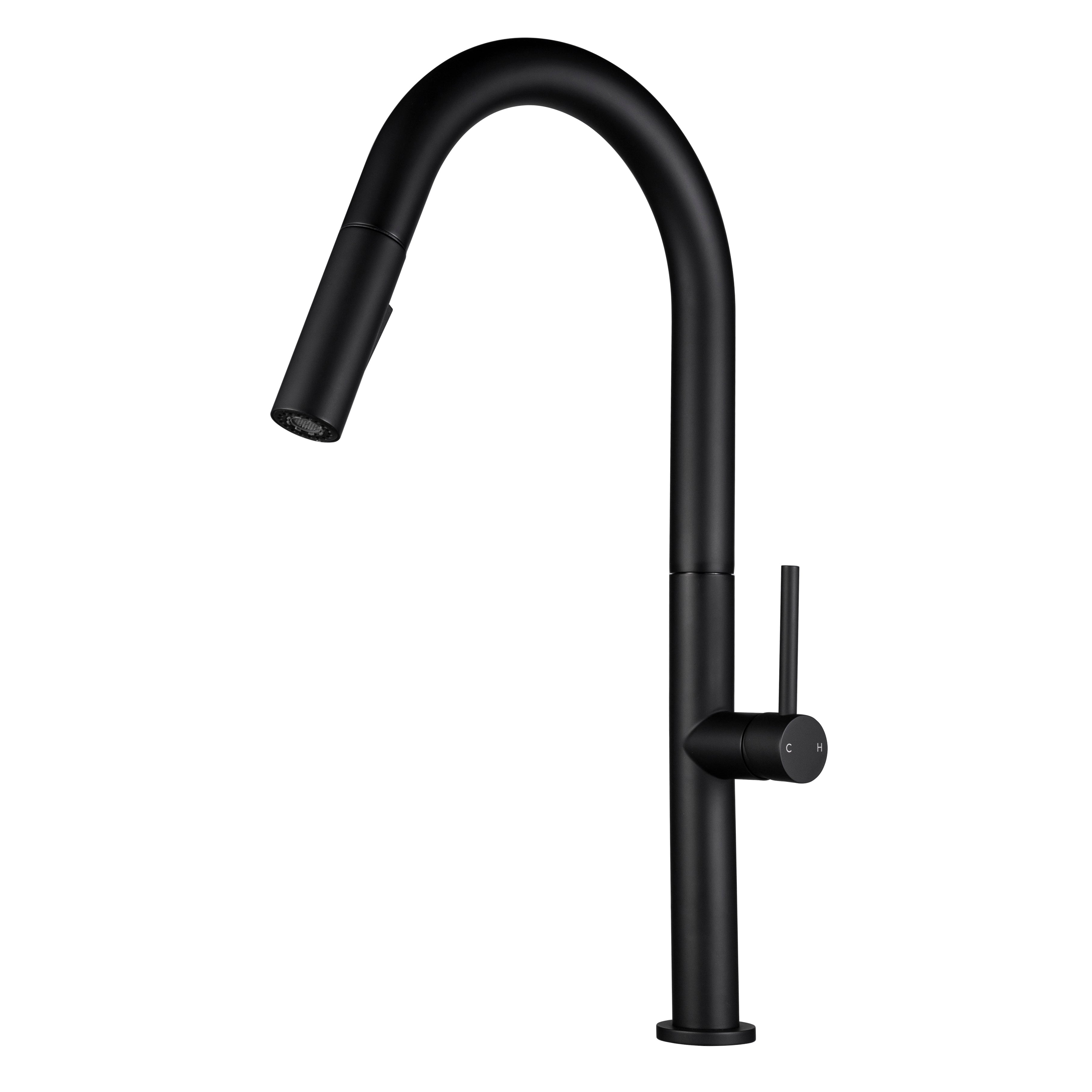 Stream™ Pull-Out Kitchen Faucet
