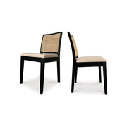 Moes Orville Dining Chair Black - Set Of Two FG-1023-02