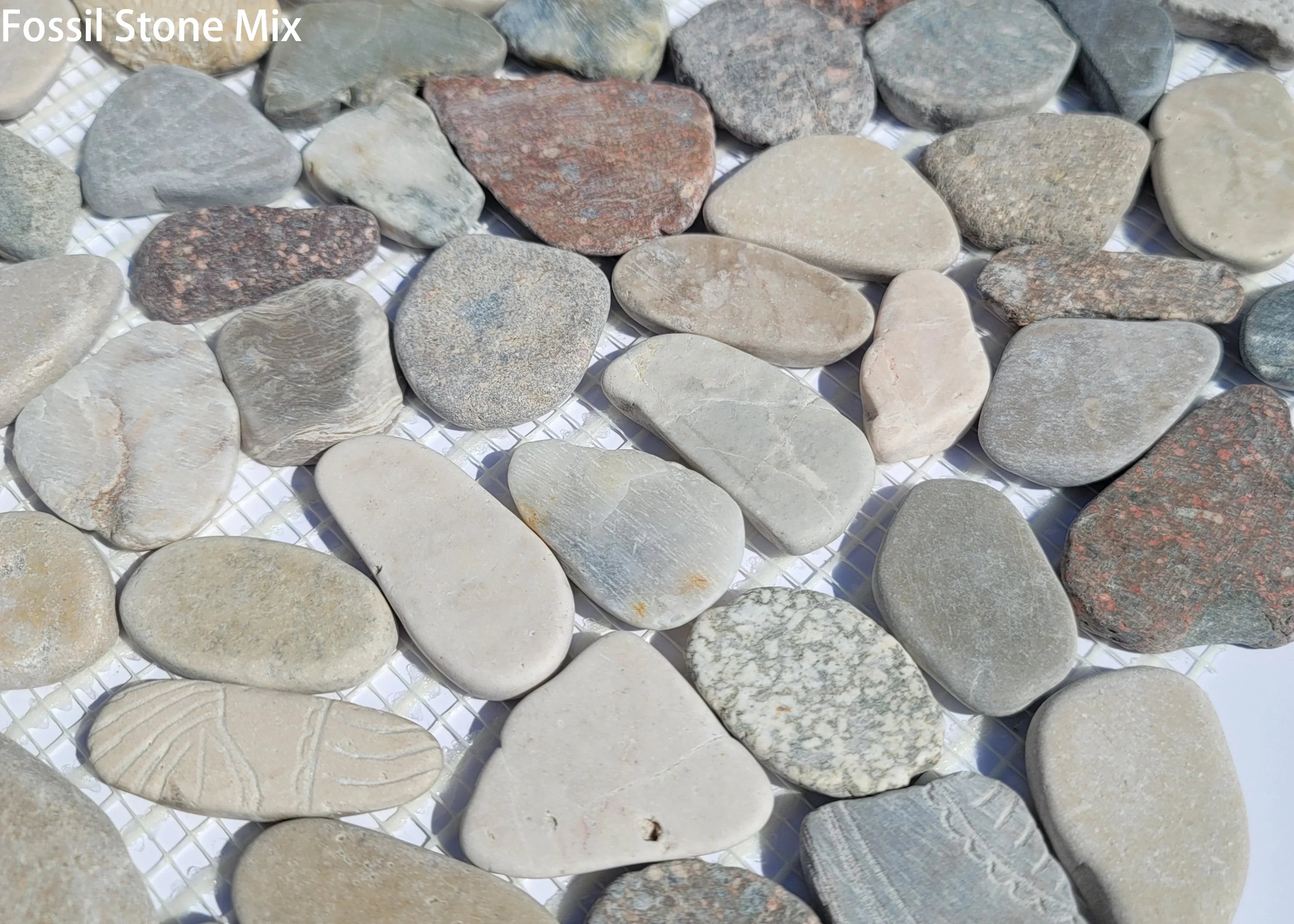 Fossil Stone Pebble Mosaic