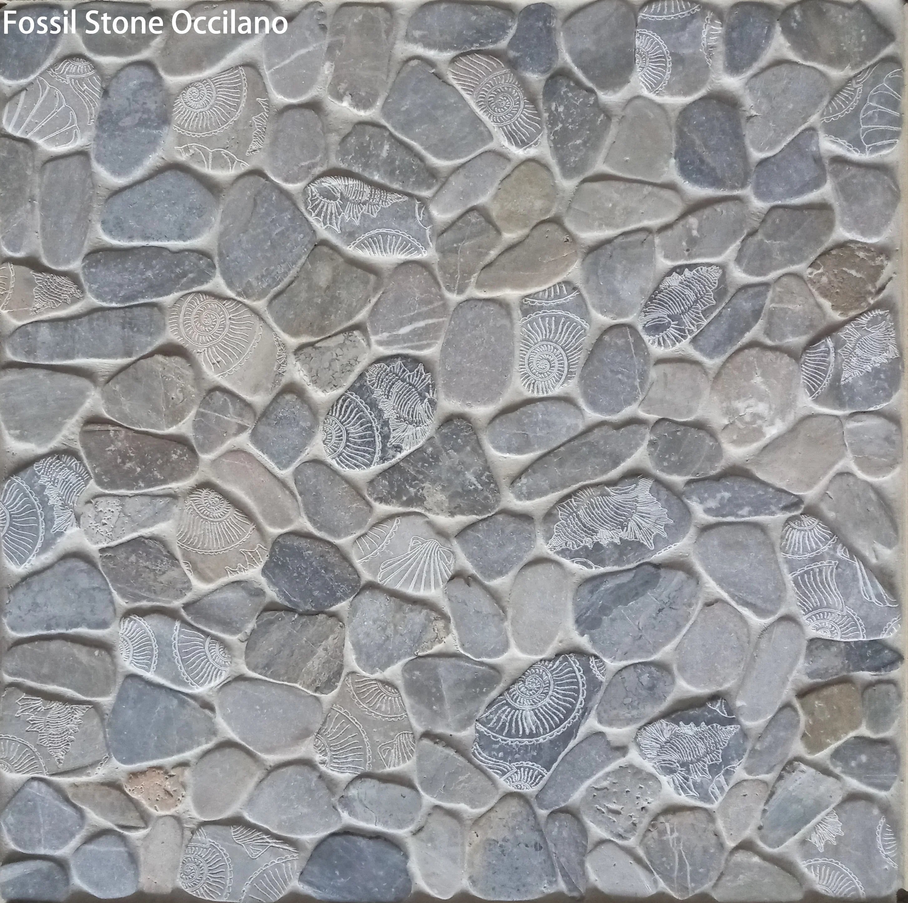 Fossil Stone Pebble Mosaic