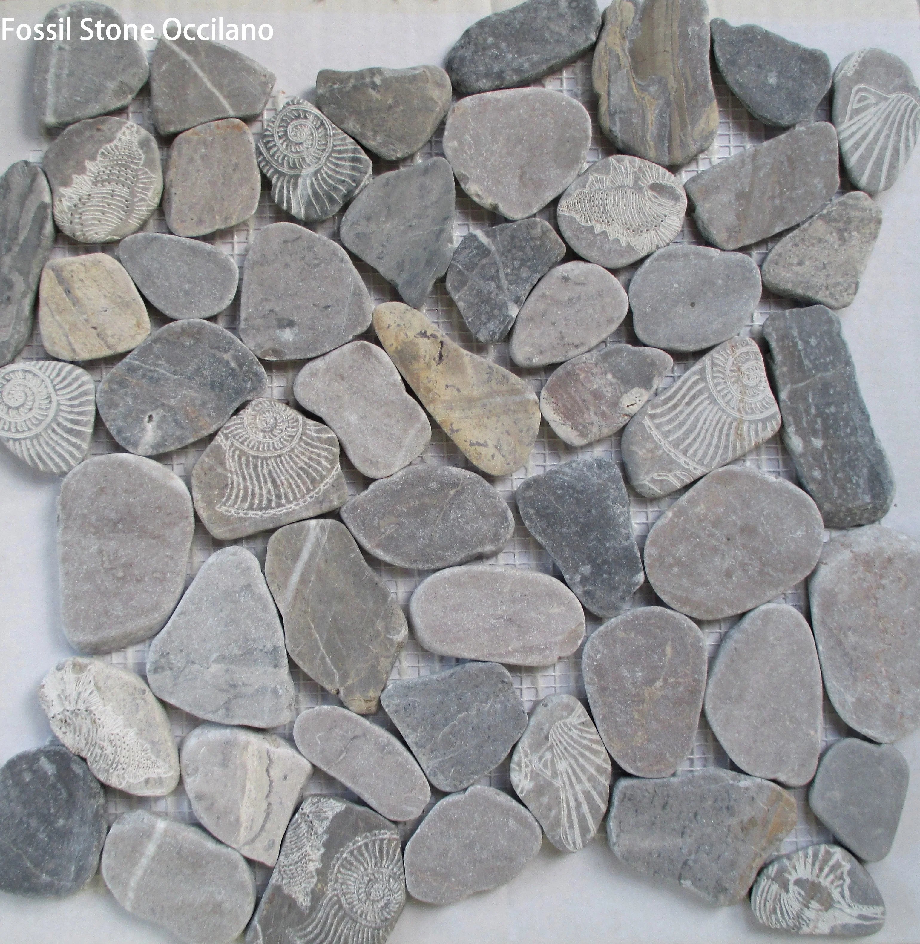Fossil Stone Pebble Mosaic