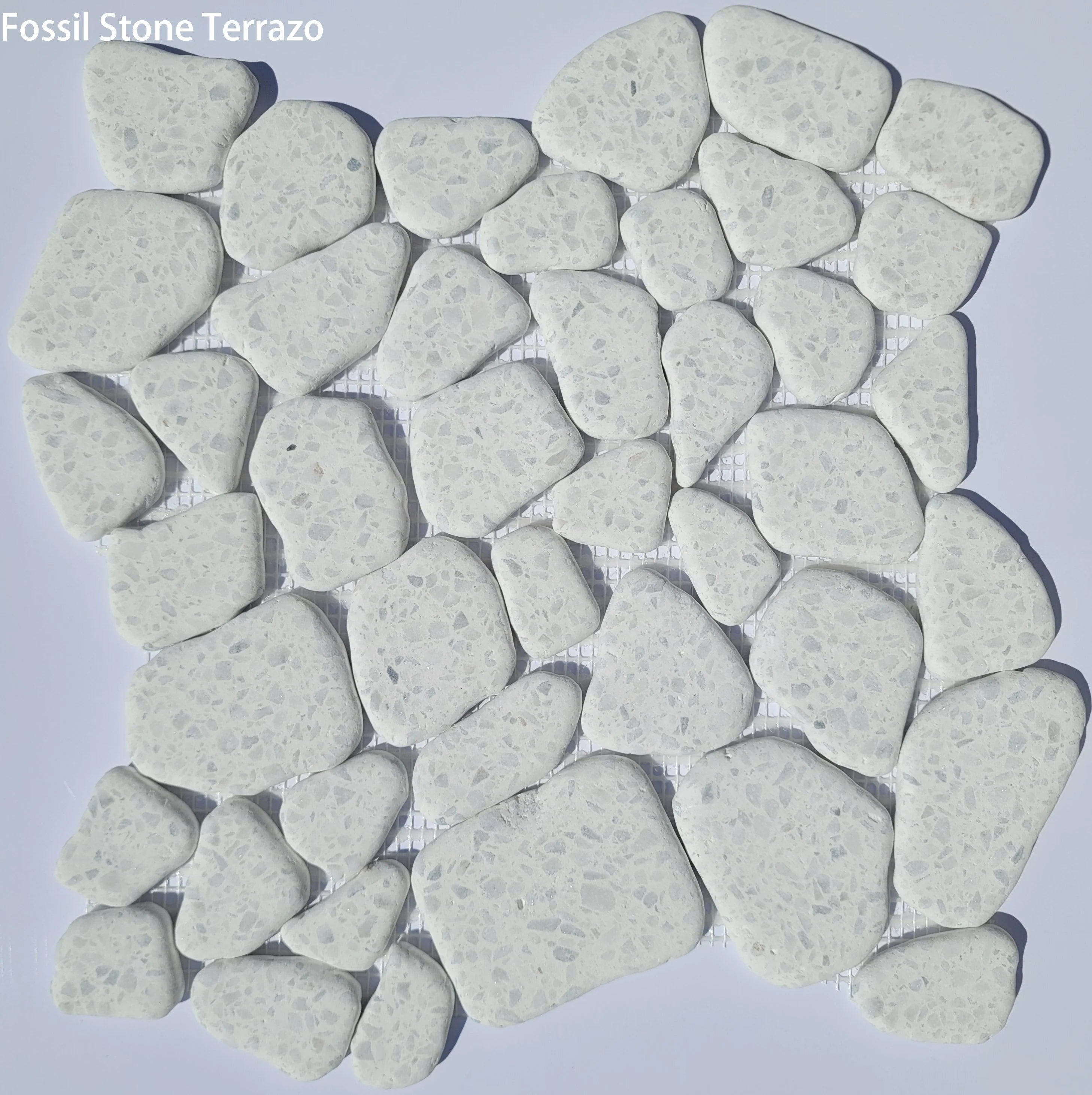 Fossil Stone Pebble Mosaic