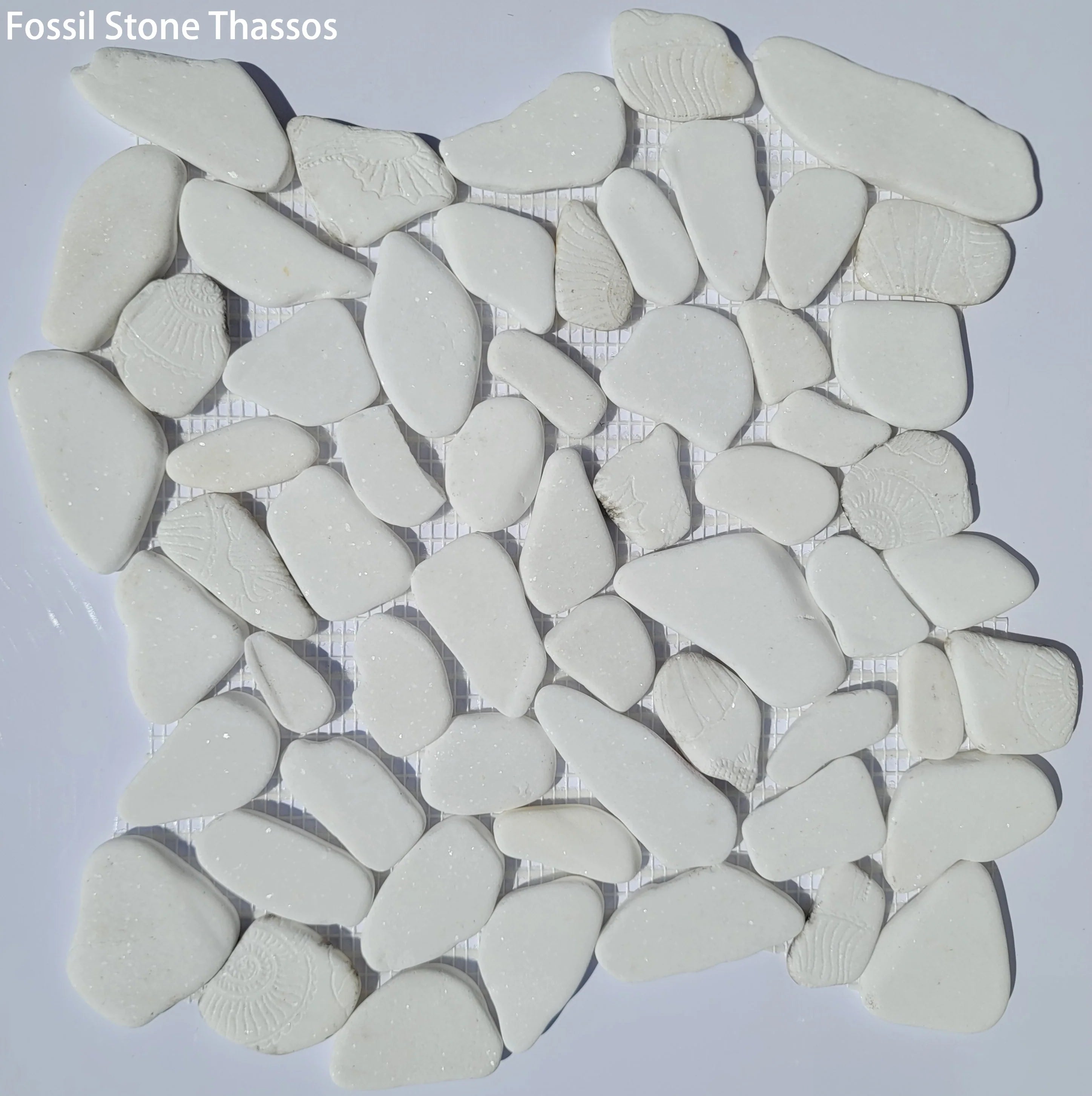 Fossil Stone Pebble Mosaic