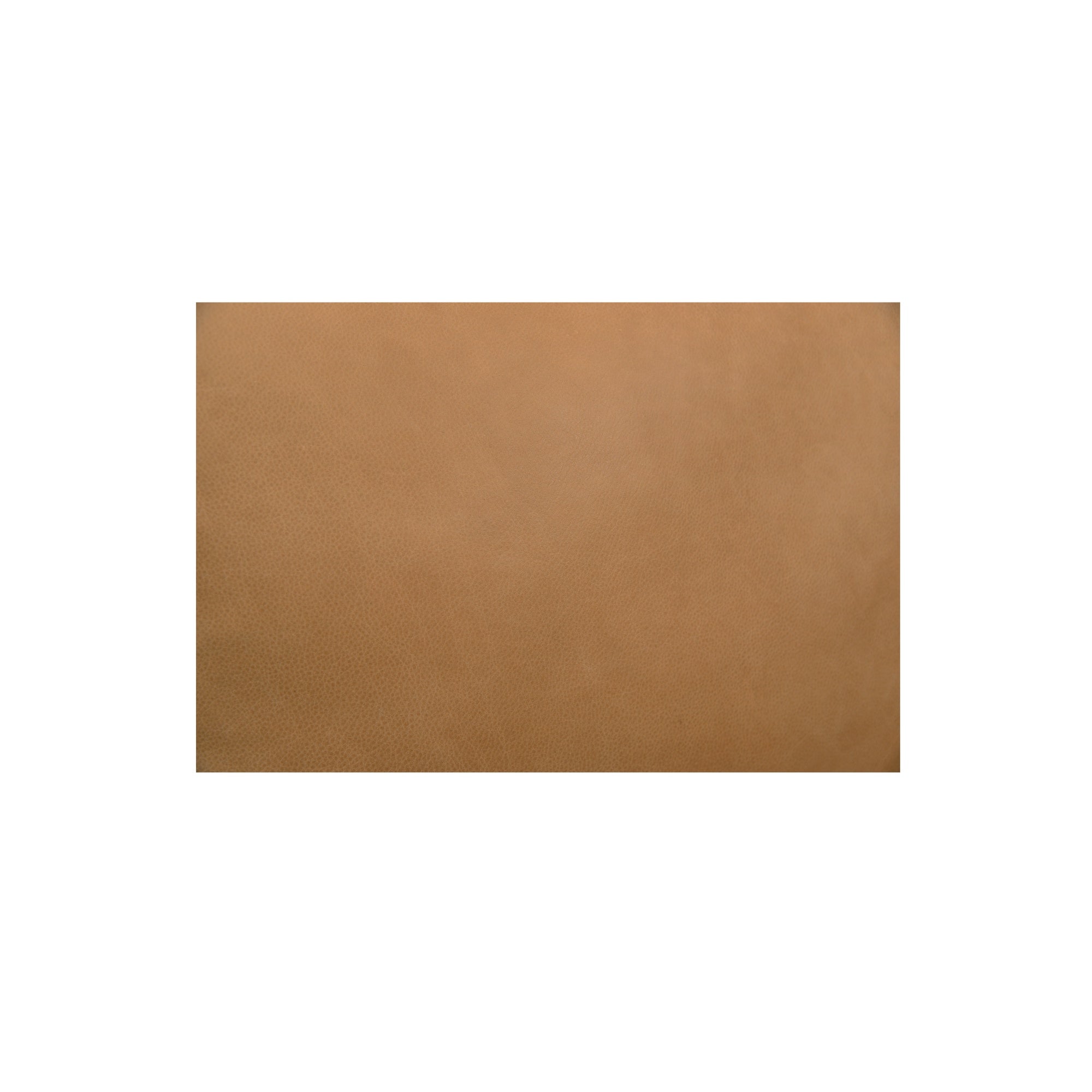 Moes Juno Power Recliner Sofa Tan Leather GO-1011-40-0