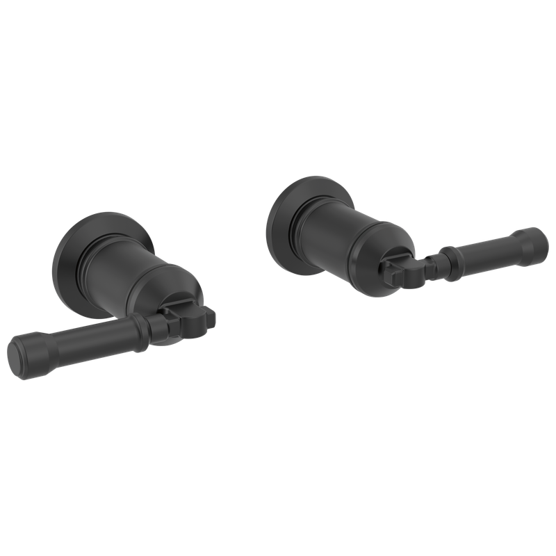 Delta Broderick® Wall Mount Bathroom Faucet Handle Kit-Lever
