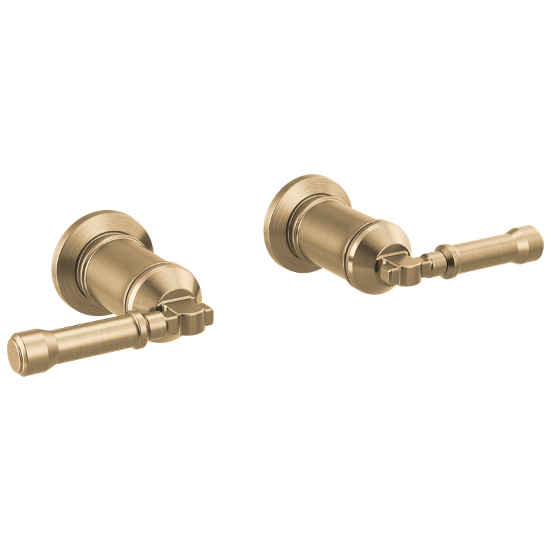 Delta Broderick® Wall Mount Bathroom Faucet Handle Kit-Lever