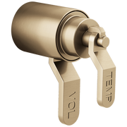 Brizo Litze® TempAssure® Thermostatic Valve Trim Industrial Lever Handle Kit