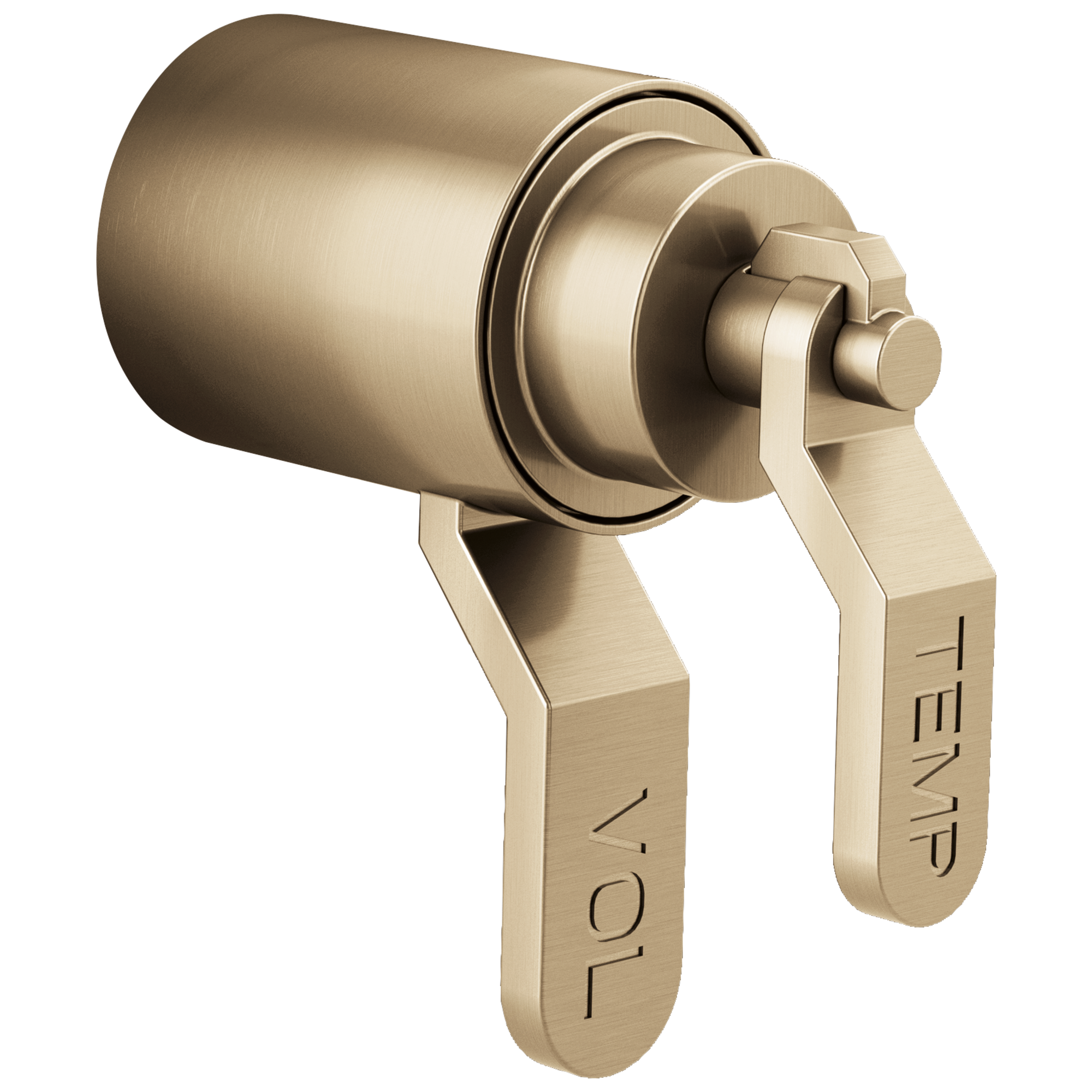 Brizo Litze® TempAssure® Thermostatic Valve Trim Industrial Lever Handle Kit