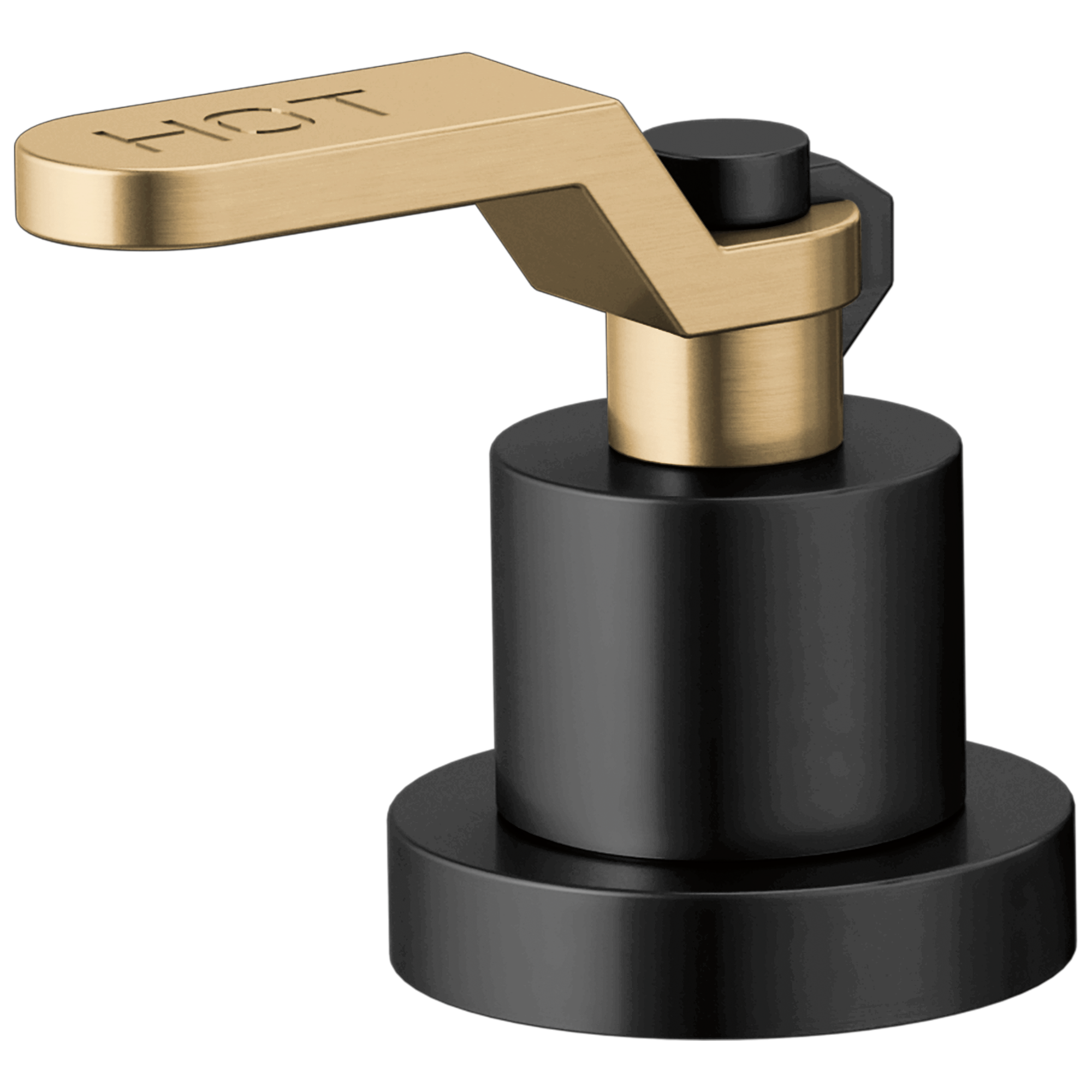 Brizo Litze® Roman Tub Handle Kit - Industrial Lever
