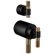 Brizo Litze® Tempassure® Thermostatic Valve With Diverter Trim Handle Kit - T-Lever