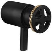 Brizo Litze® Tempassure® Thermostatic Trim Handle Kit - Wheel