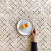 Casablanca Crema Marfil Polished
