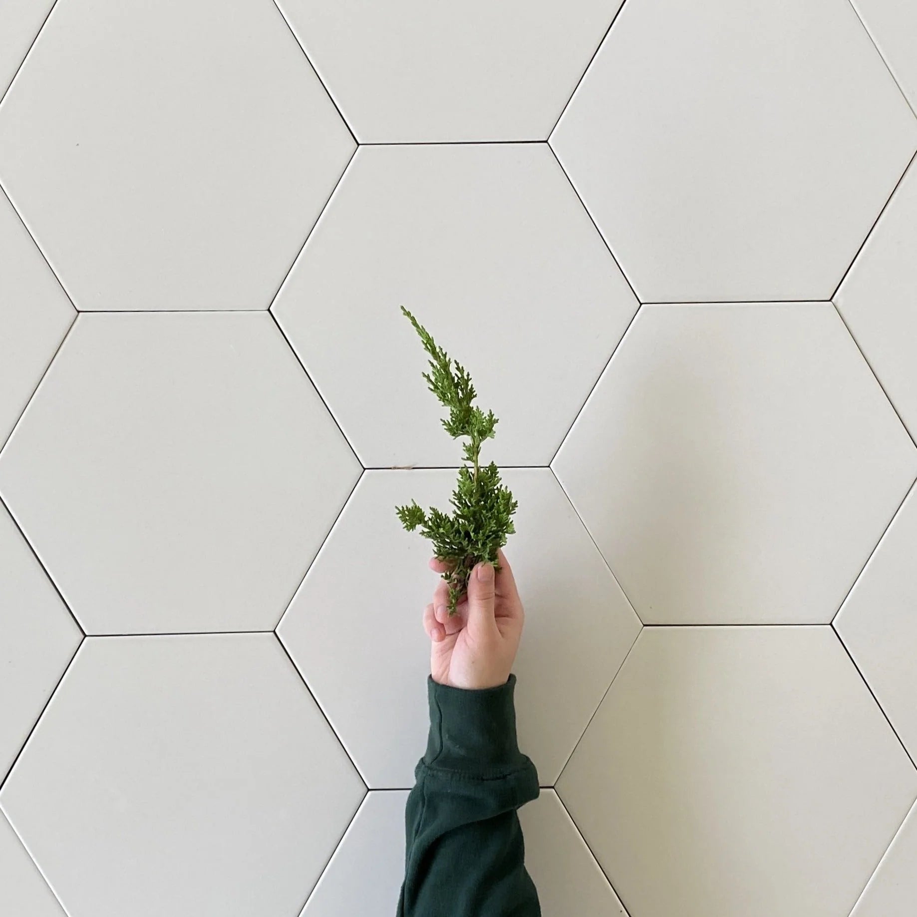 Toscana Marfil Porcelain Hexagon tile 10"