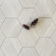 Atlas Blanco Porcelain Hexagon tile 10"