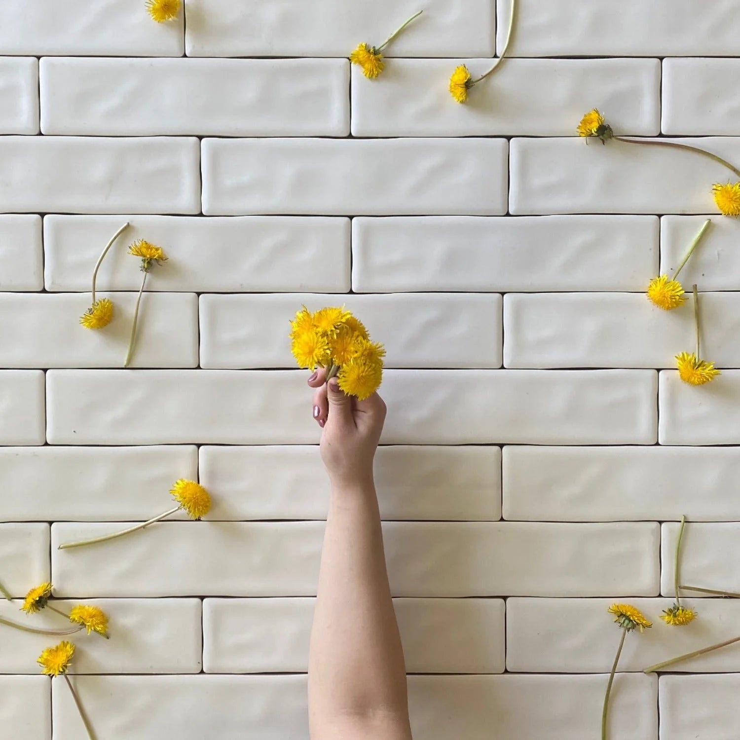 Iris Blanco Ceramic tile