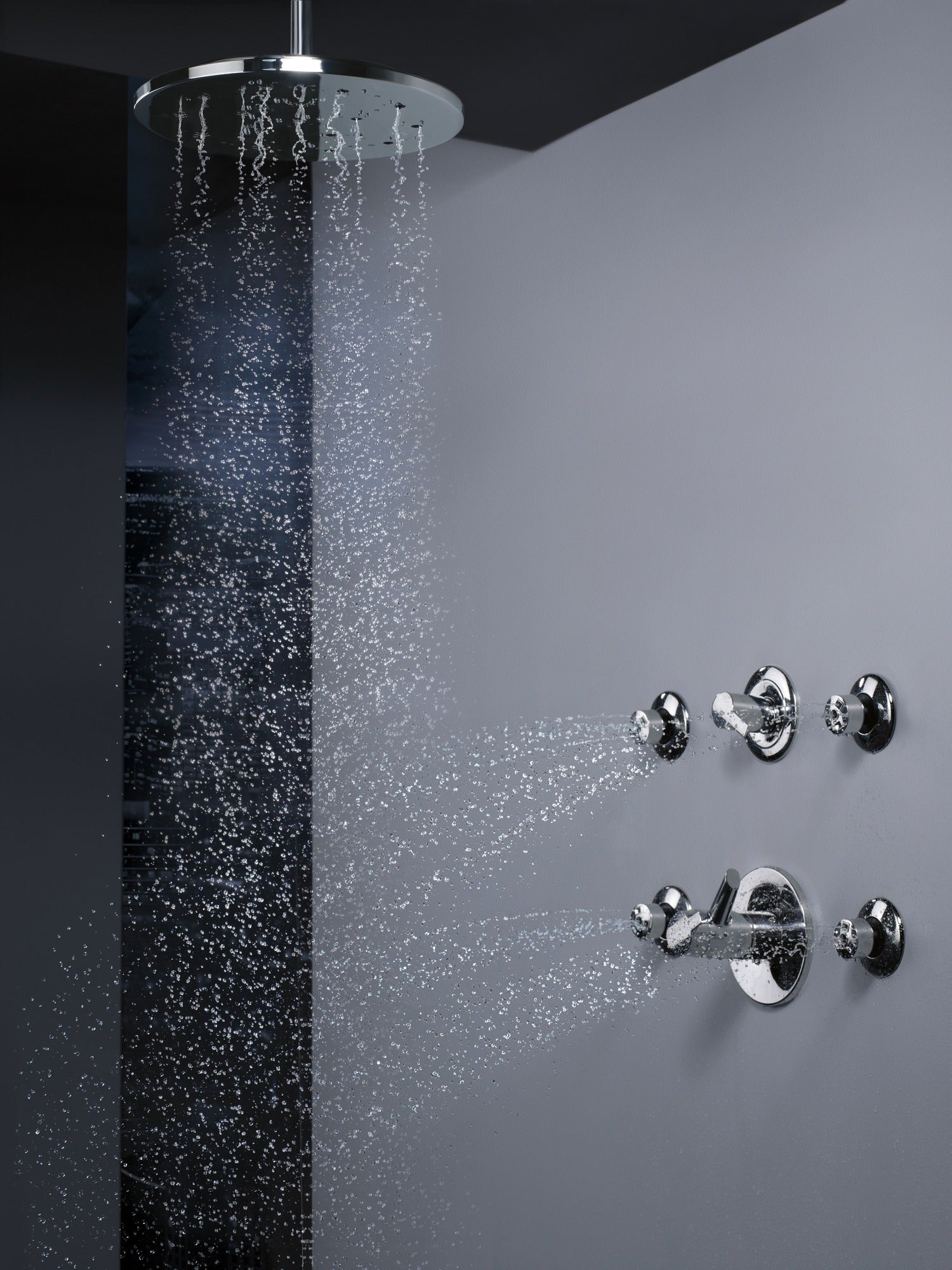 Delta Other HydraChoice® Round Body Spray Trim