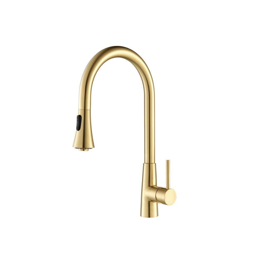 Zest Dual Spray Stainless Steel Kitchen Faucet with Pull-Out – Flusso / Isenberg