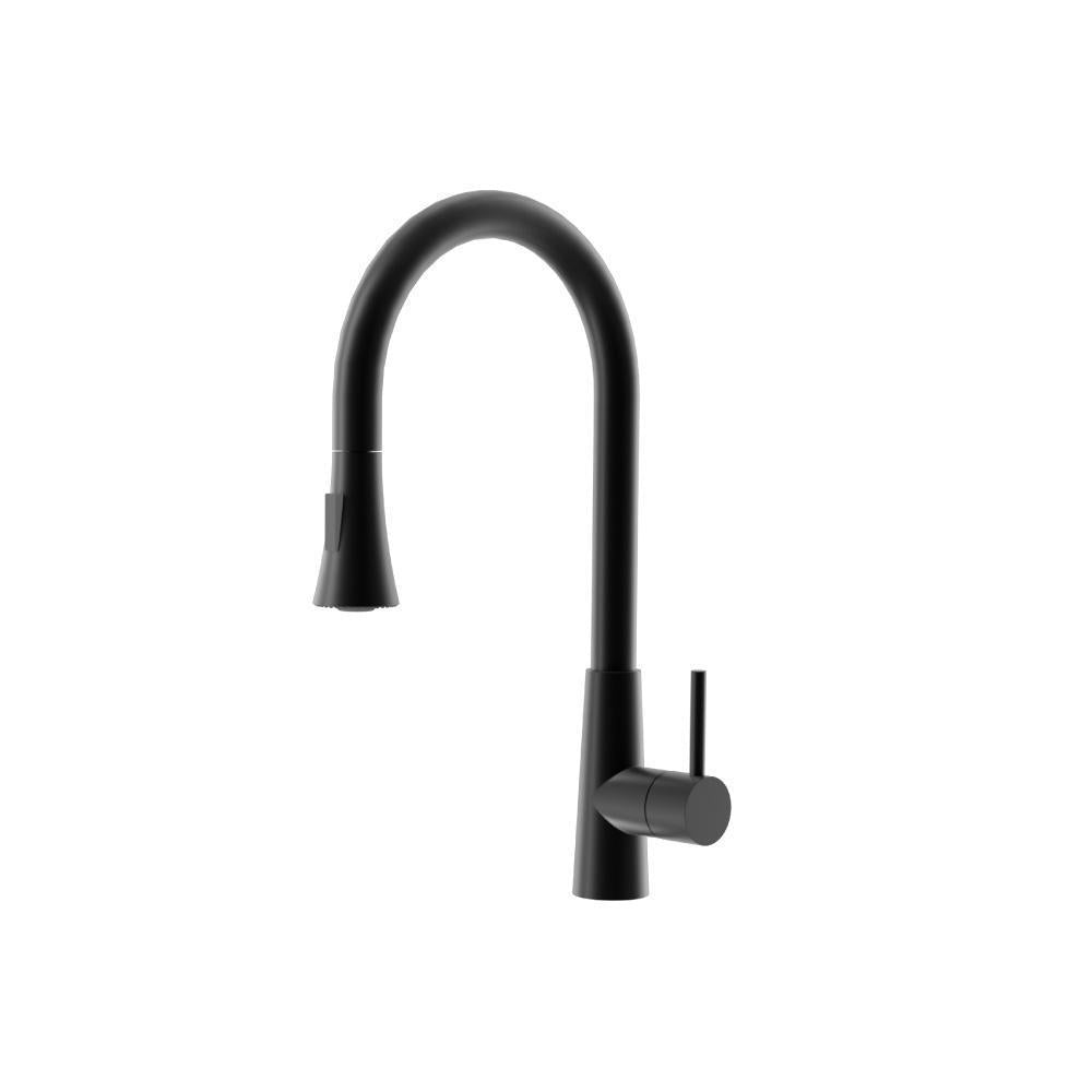 Zest Dual Spray Stainless Steel Kitchen Faucet with Pull-Out – Flusso / Isenberg