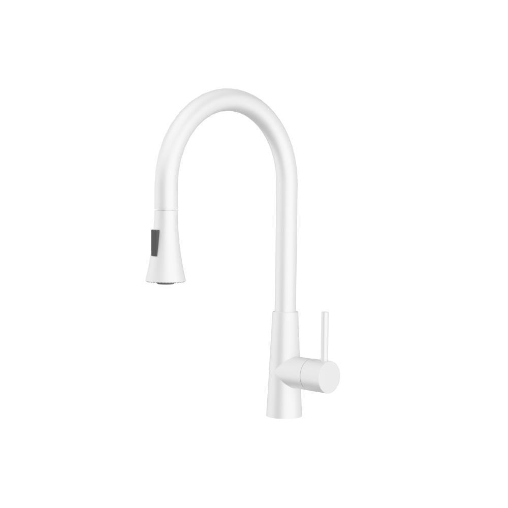 Zest Dual Spray Stainless Steel Kitchen Faucet with Pull-Out – Flusso / Isenberg
