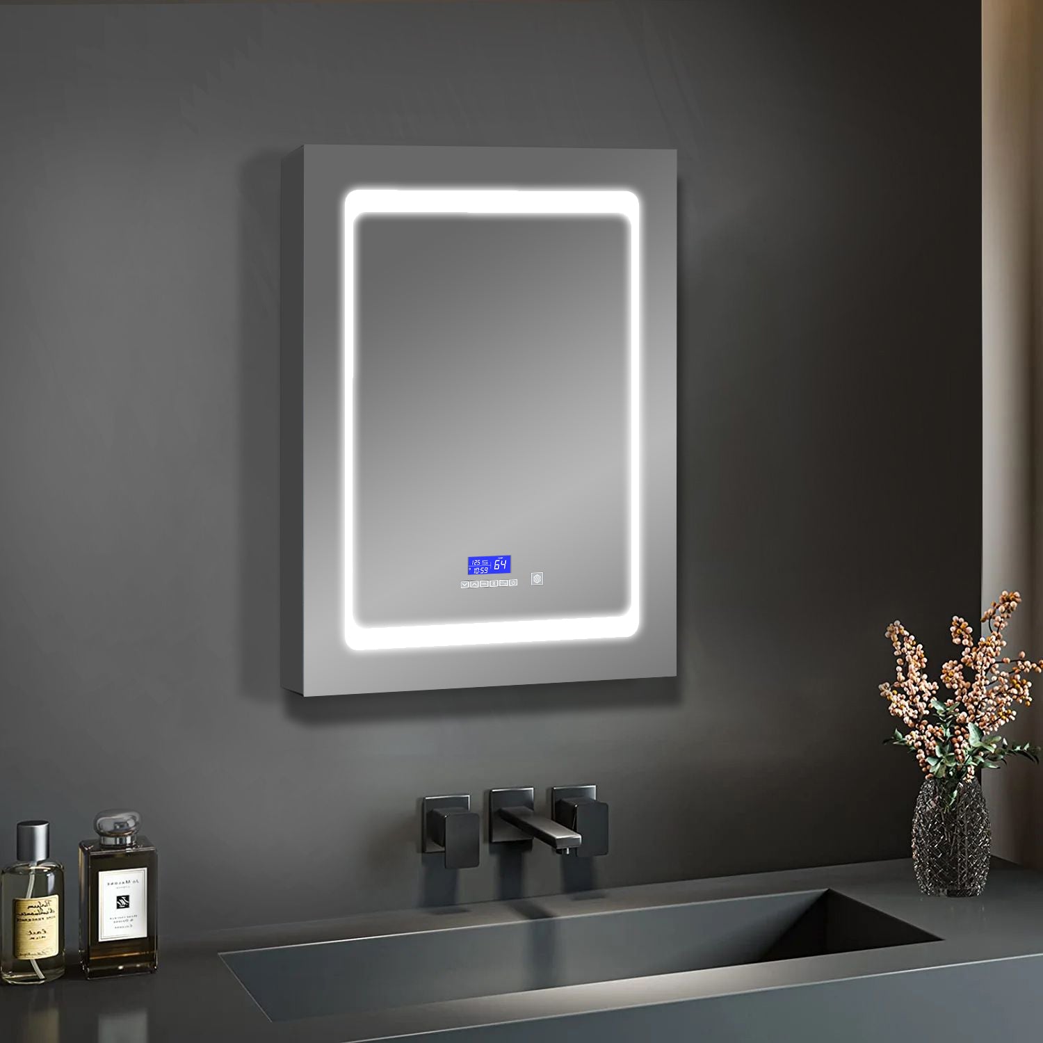 Bracciano 20 in. W x 32 in. H Surface-Mount LED Mirror Medicine Cabinet with Defogger