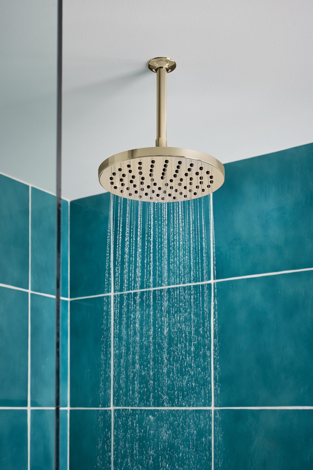 Brizo Essential™ Shower 6" Ceiling Mount Shower Arm And Round Flange