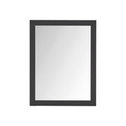 Castor 28 in W x 36 in H Mirror