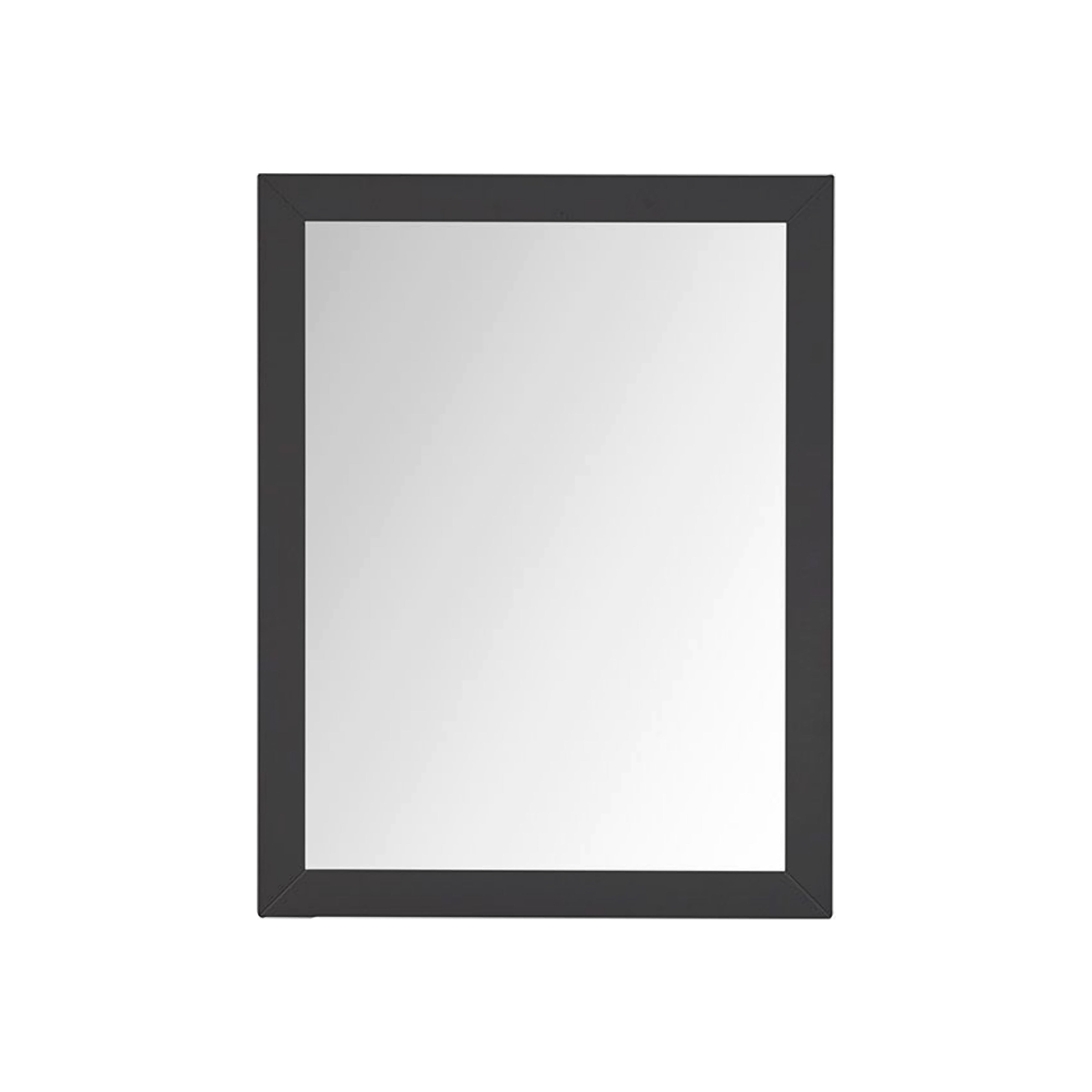Castor 28 in W x 36 in H Mirror