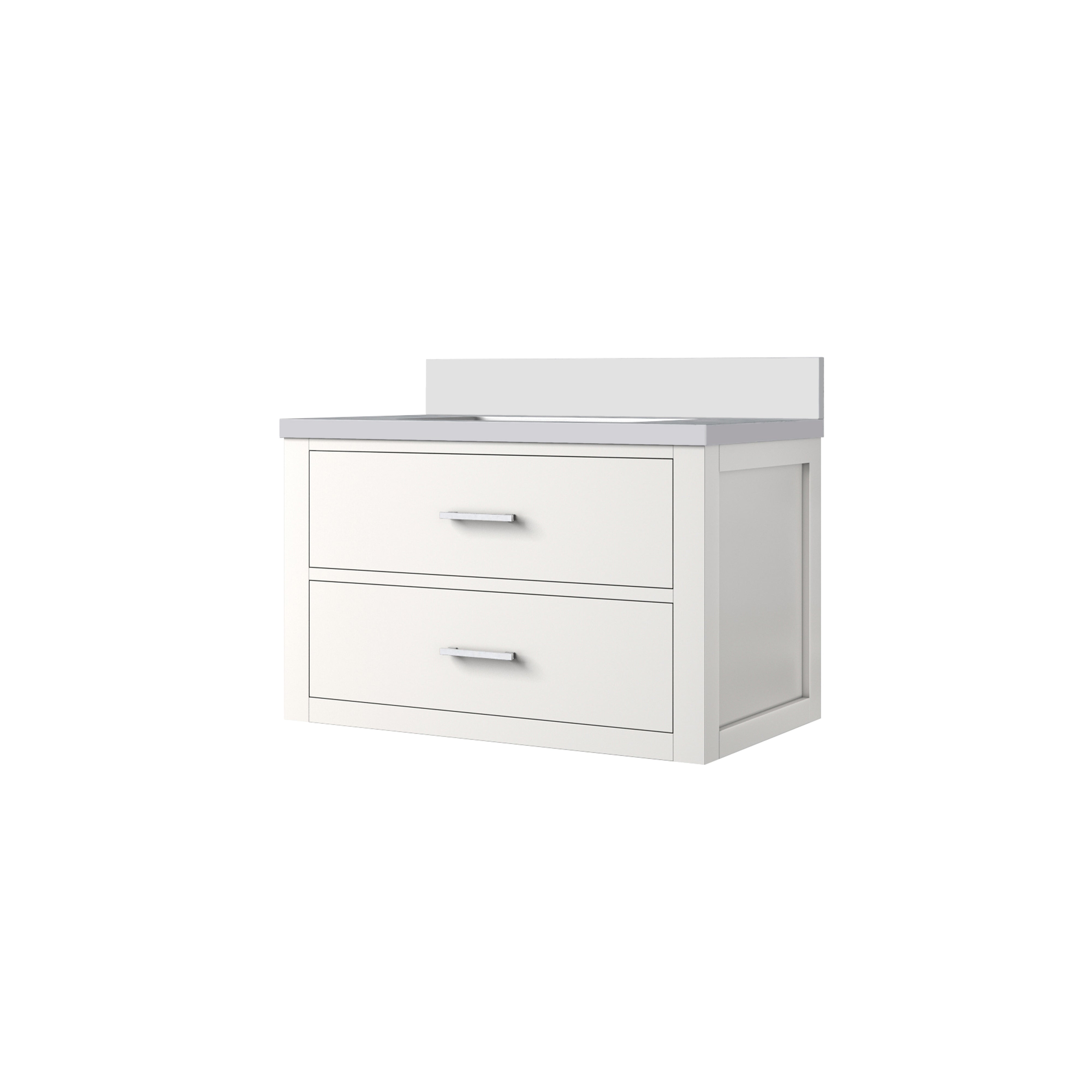 Castor 30 in W x 22 in D White Double Bath Vanity
