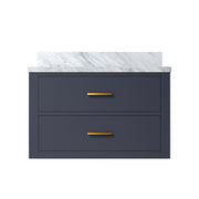 Castor 30 in W x 22 in D Blue Double Bath Vanity