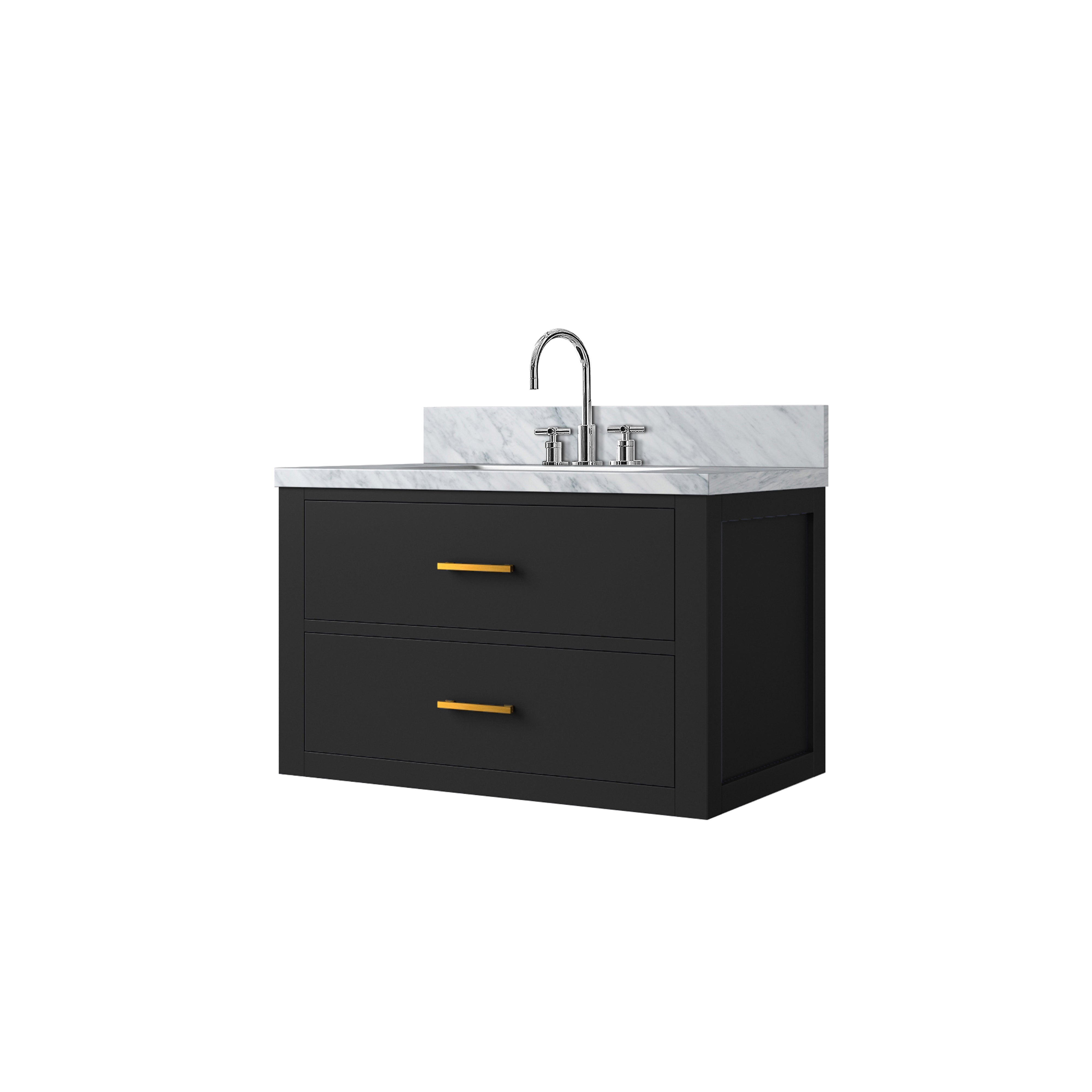 Castor 30 in W x 22 in D Black Double Bath Vanity