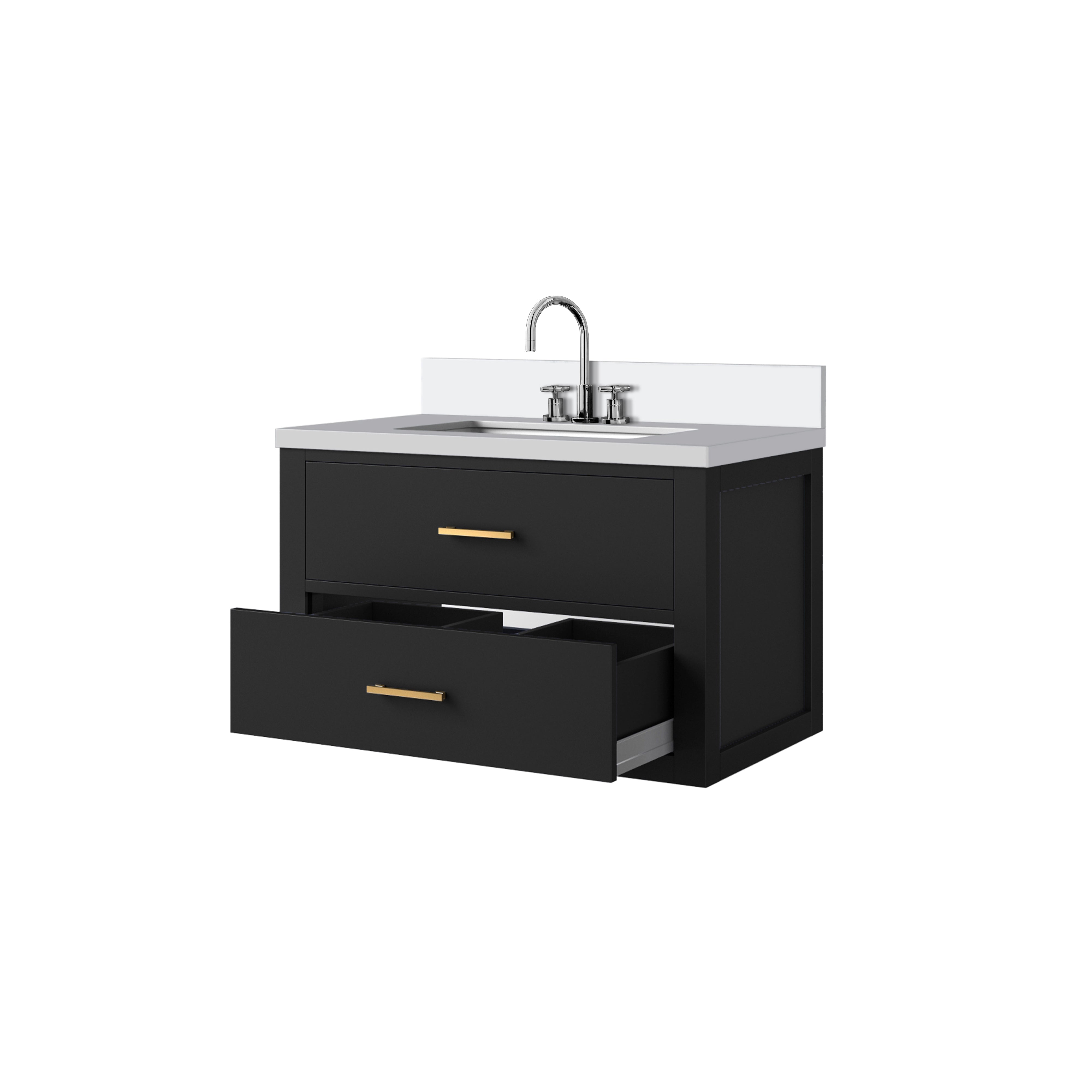 Castor 30 in W x 22 in D Black Double Bath Vanity