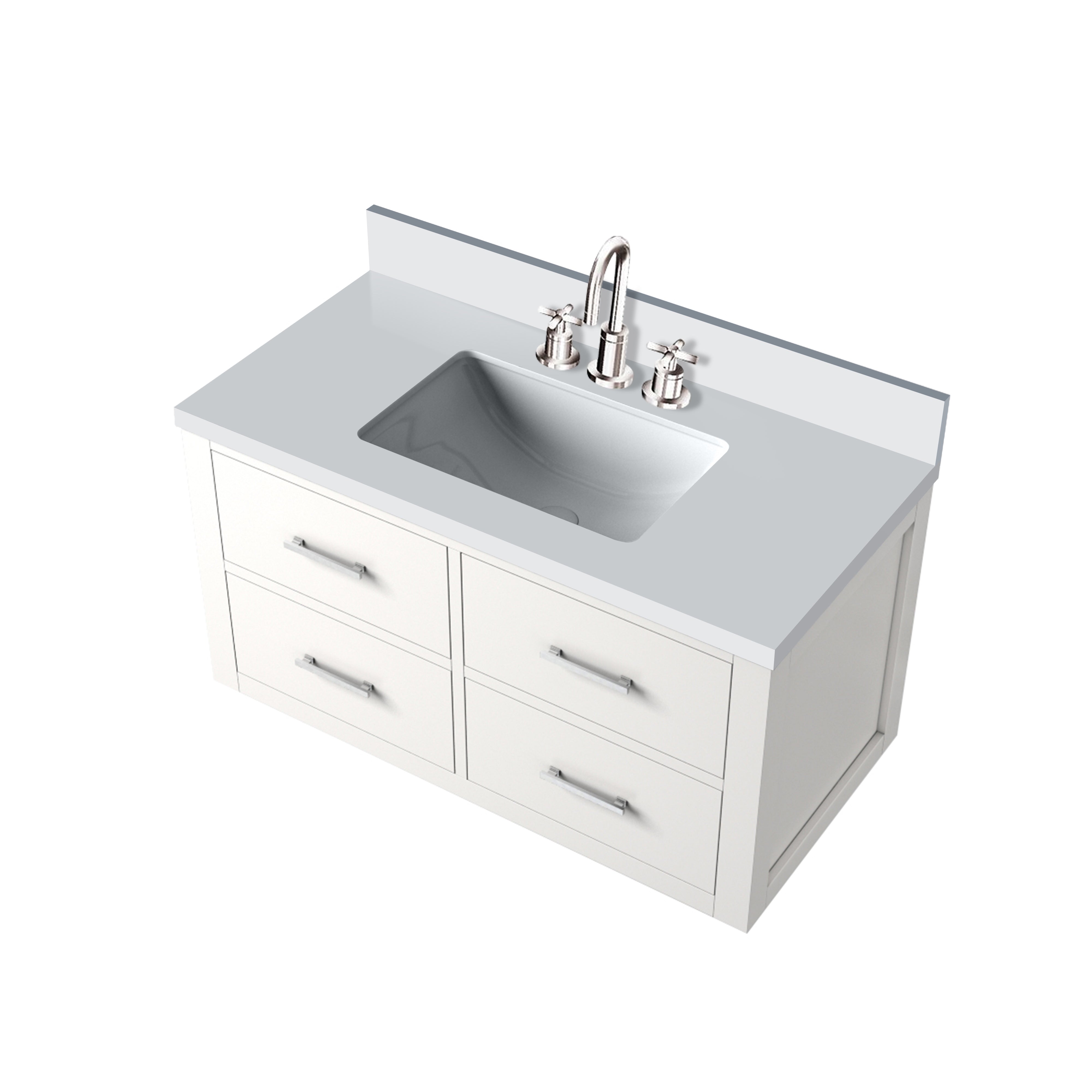 Castor 36 in W x 22 in D White Double Bath Vanity