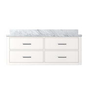 Castor 48 in W x 22 in D White Double Bath Vanity