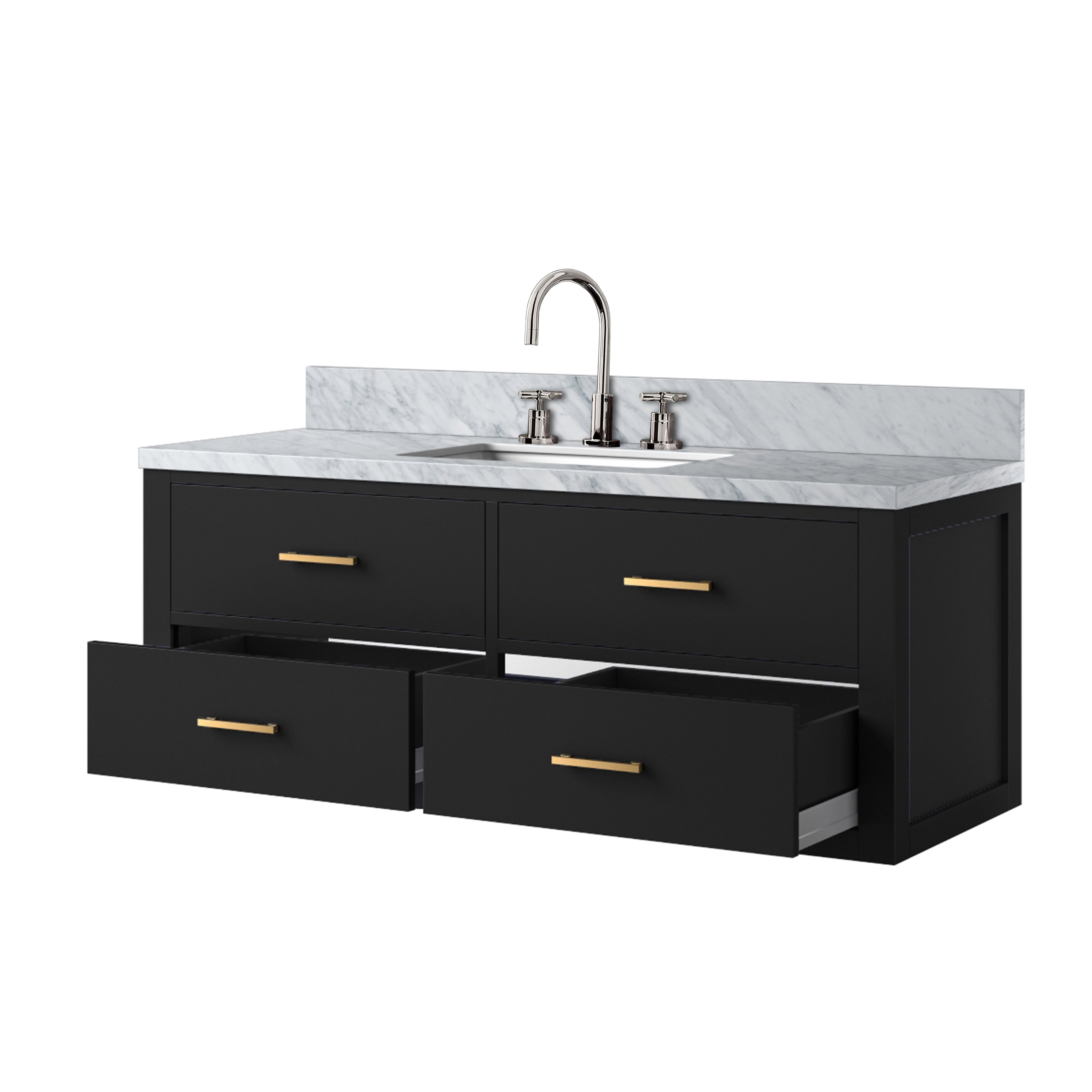 Castor 48 in W x 22 in D Black Double Bath Vanity