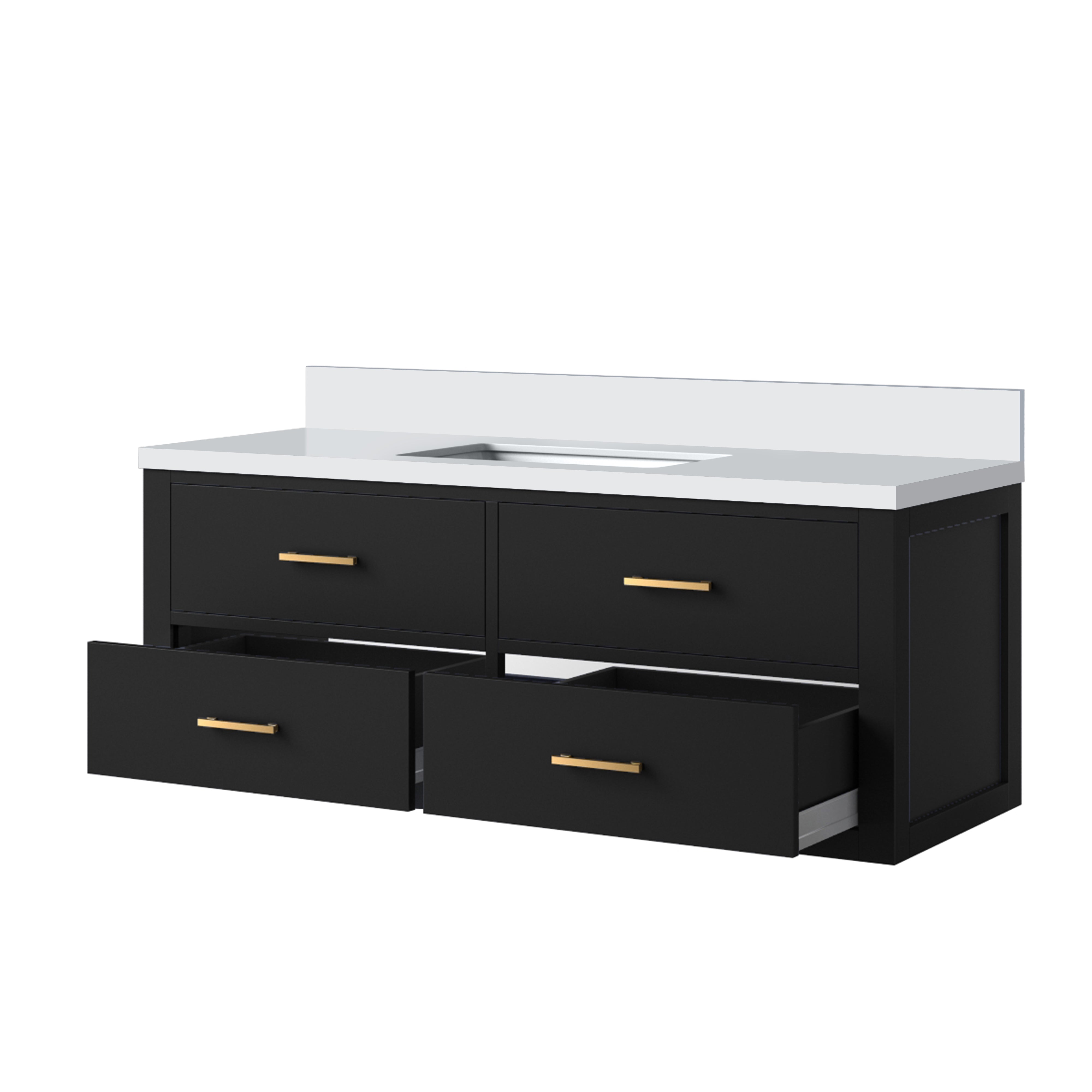 Castor 48 in W x 22 in D Black Double Bath Vanity