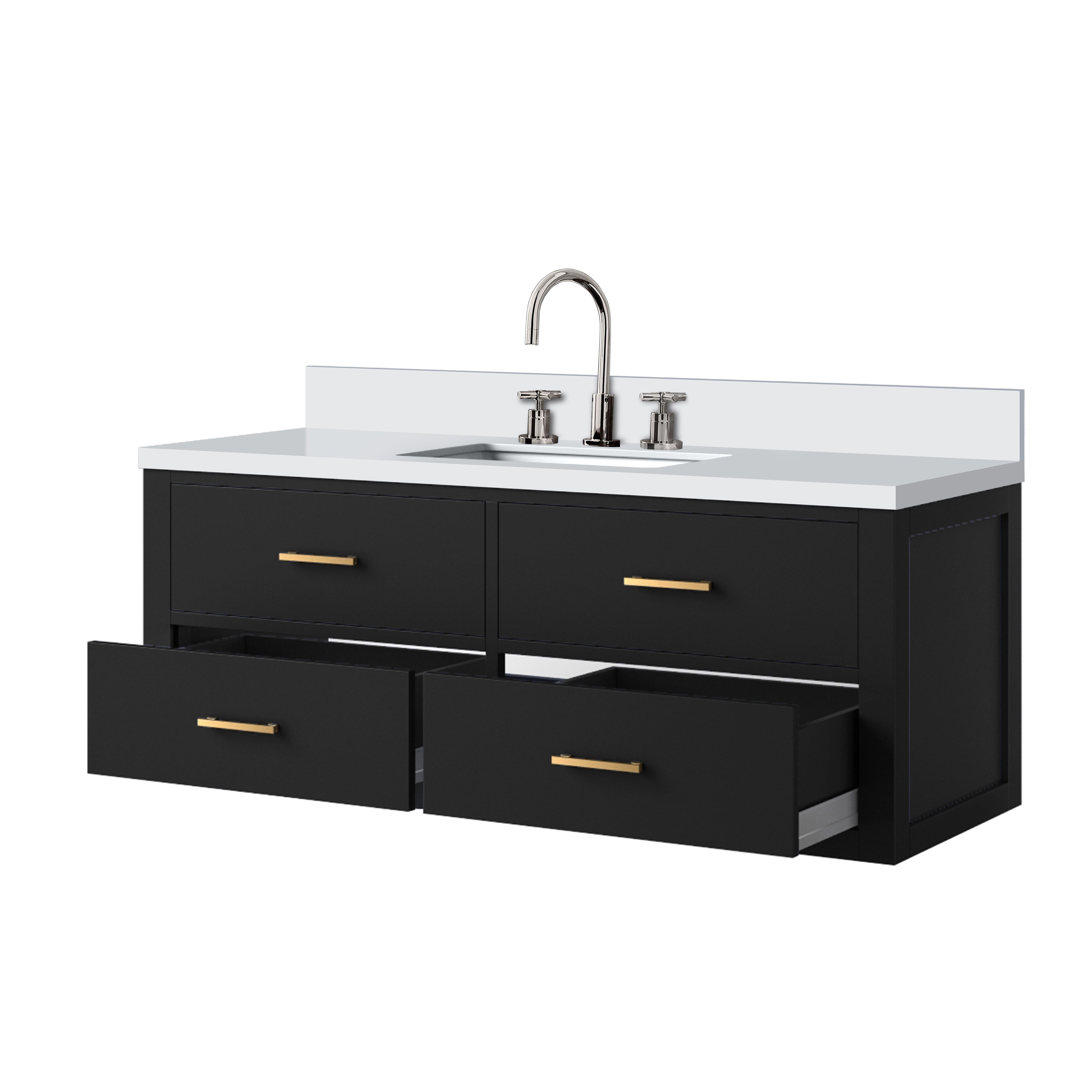 Castor 48 in W x 22 in D Black Double Bath Vanity