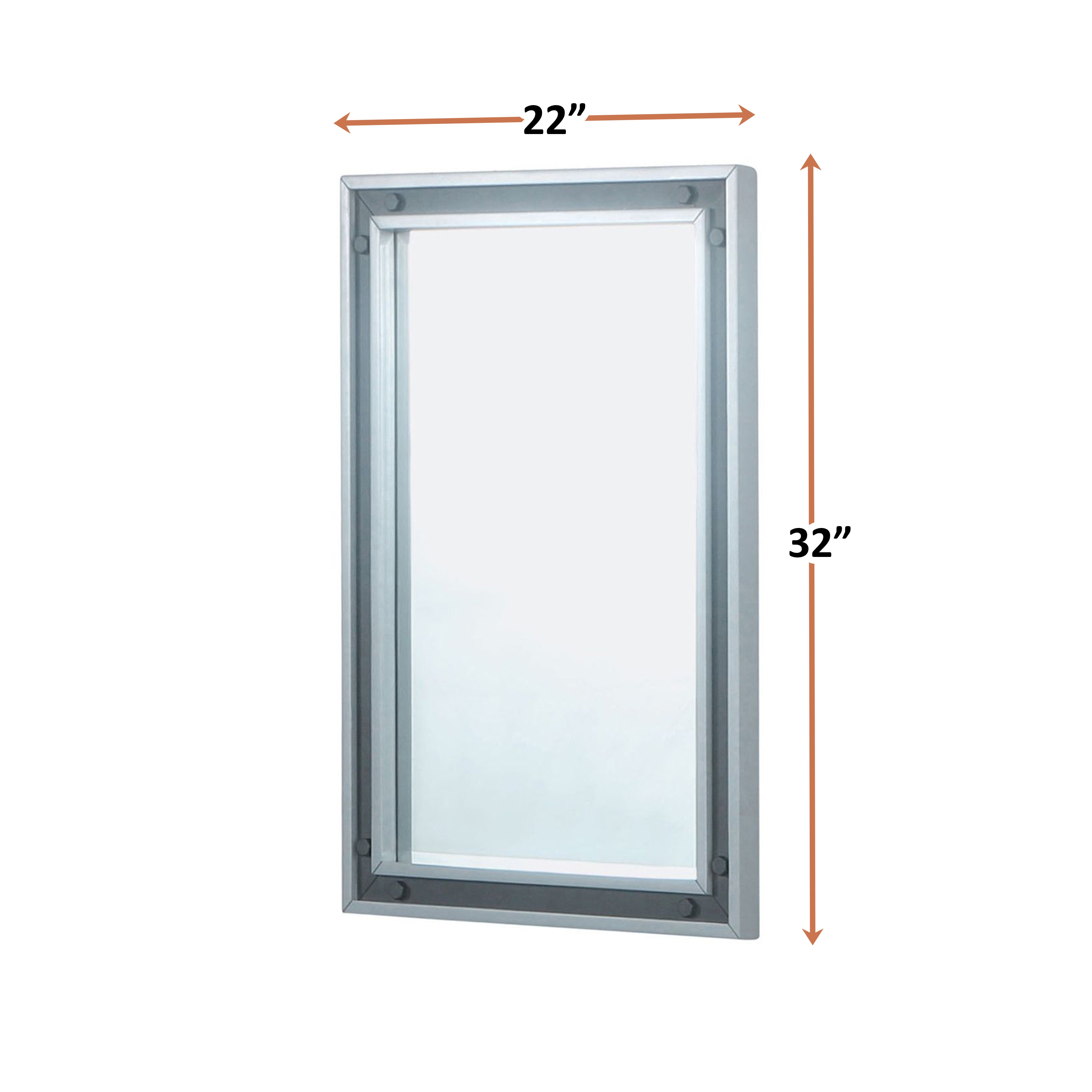 Ziva 22 in W x 32 in H Mirror with Black Metal Inlay