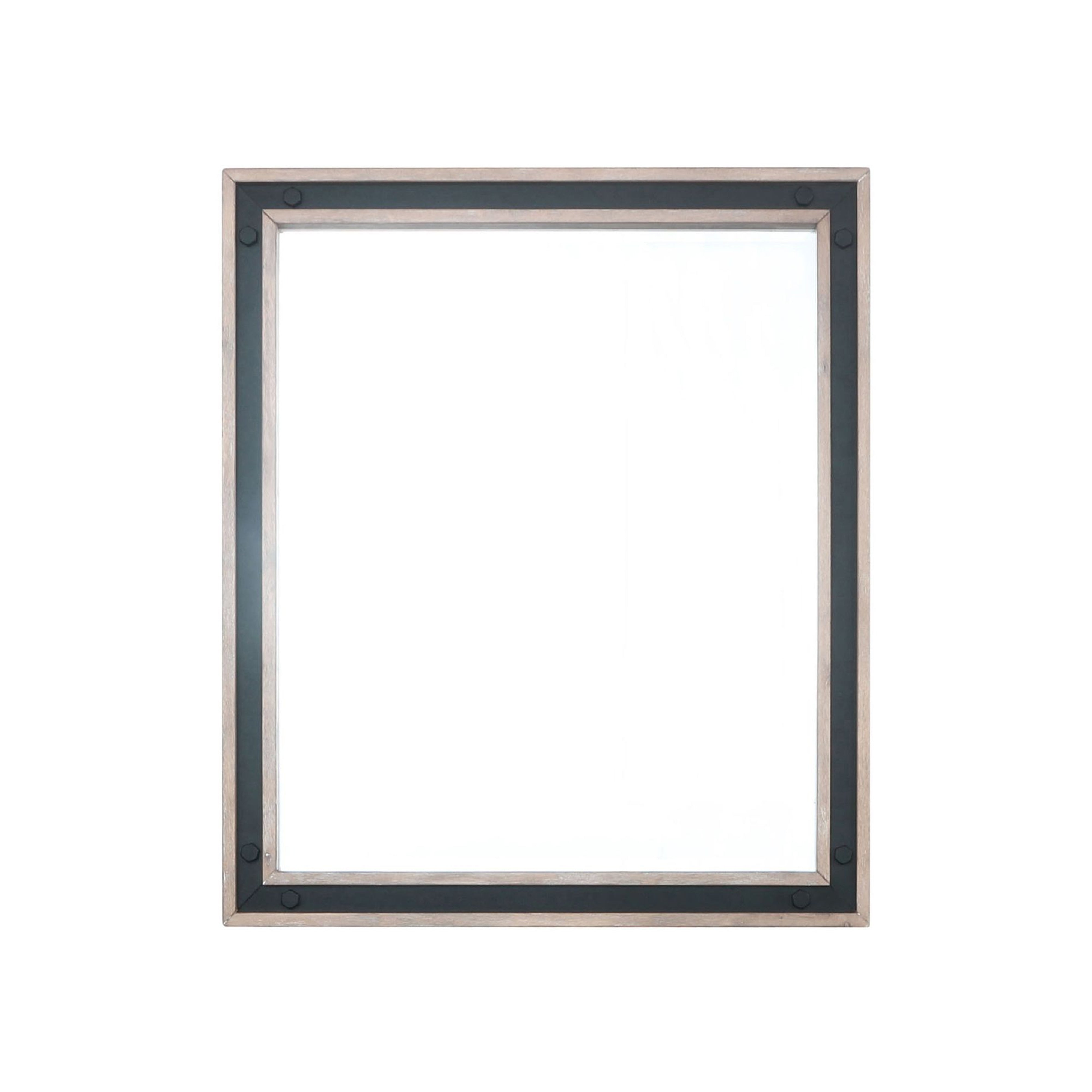 Ziva 28 in W x 32 in H Mirror with Black Metal Inlay