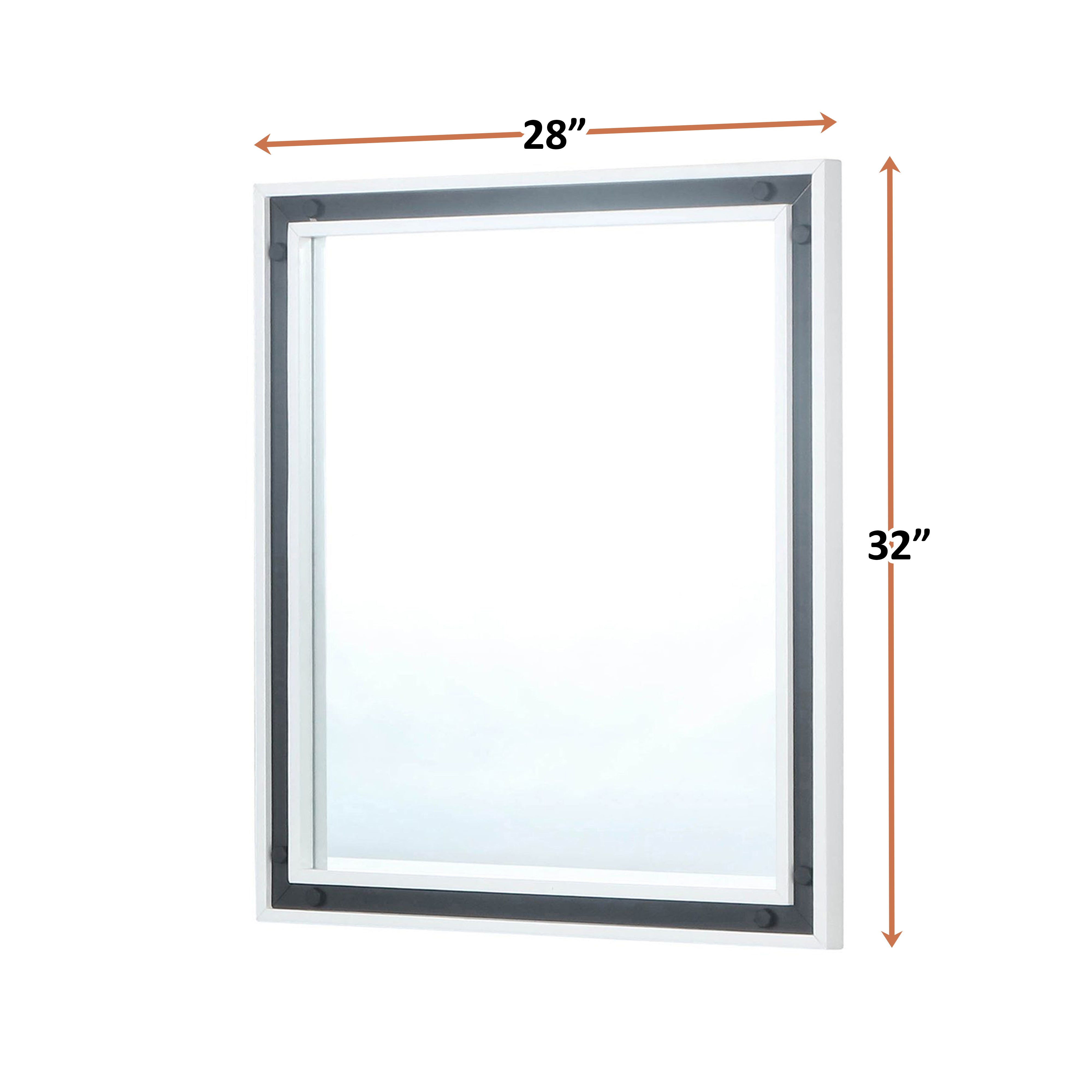 Ziva 28 in W x 32 in H Mirror with Black Metal Inlay