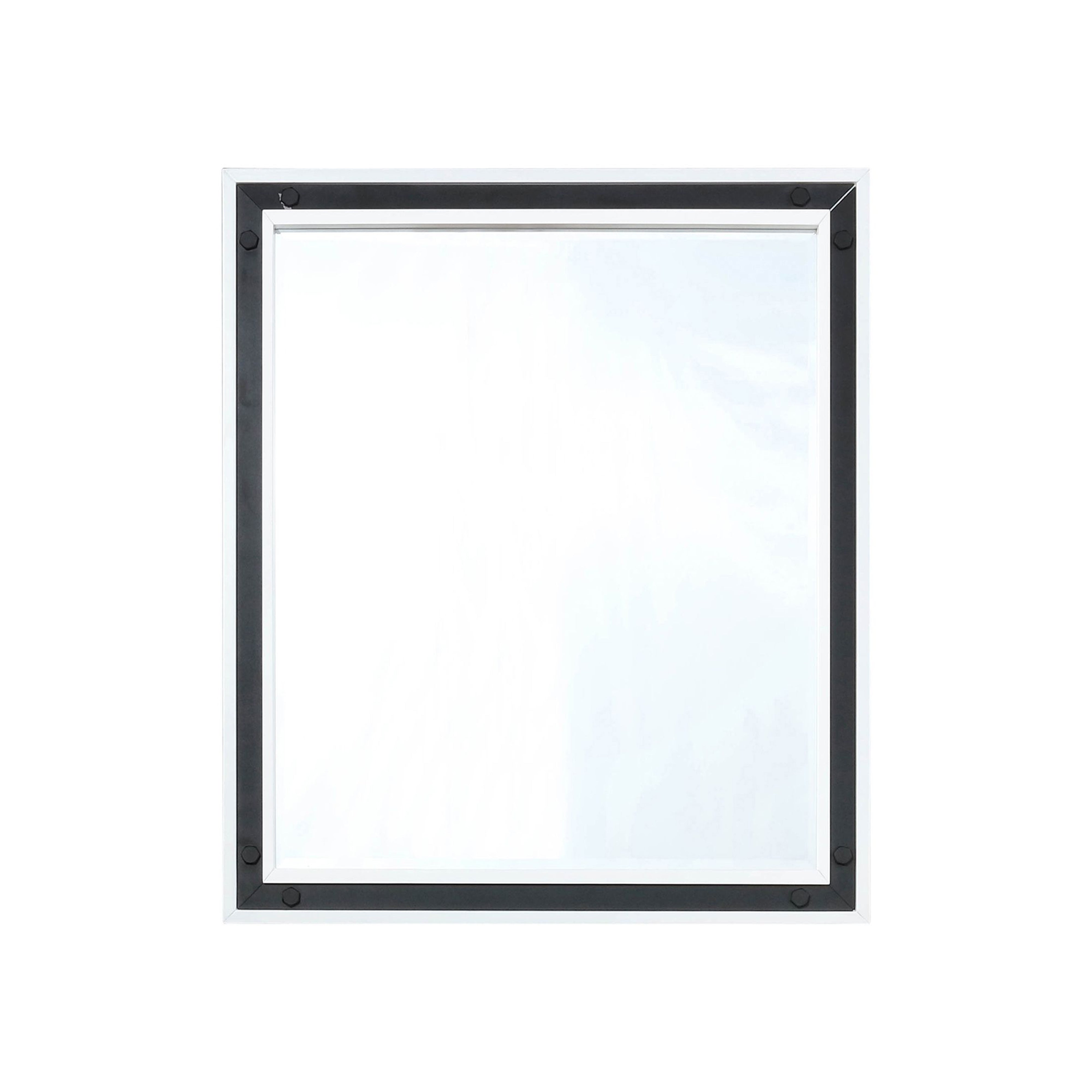 Ziva 28 in W x 32 in H Mirror with Black Metal Inlay