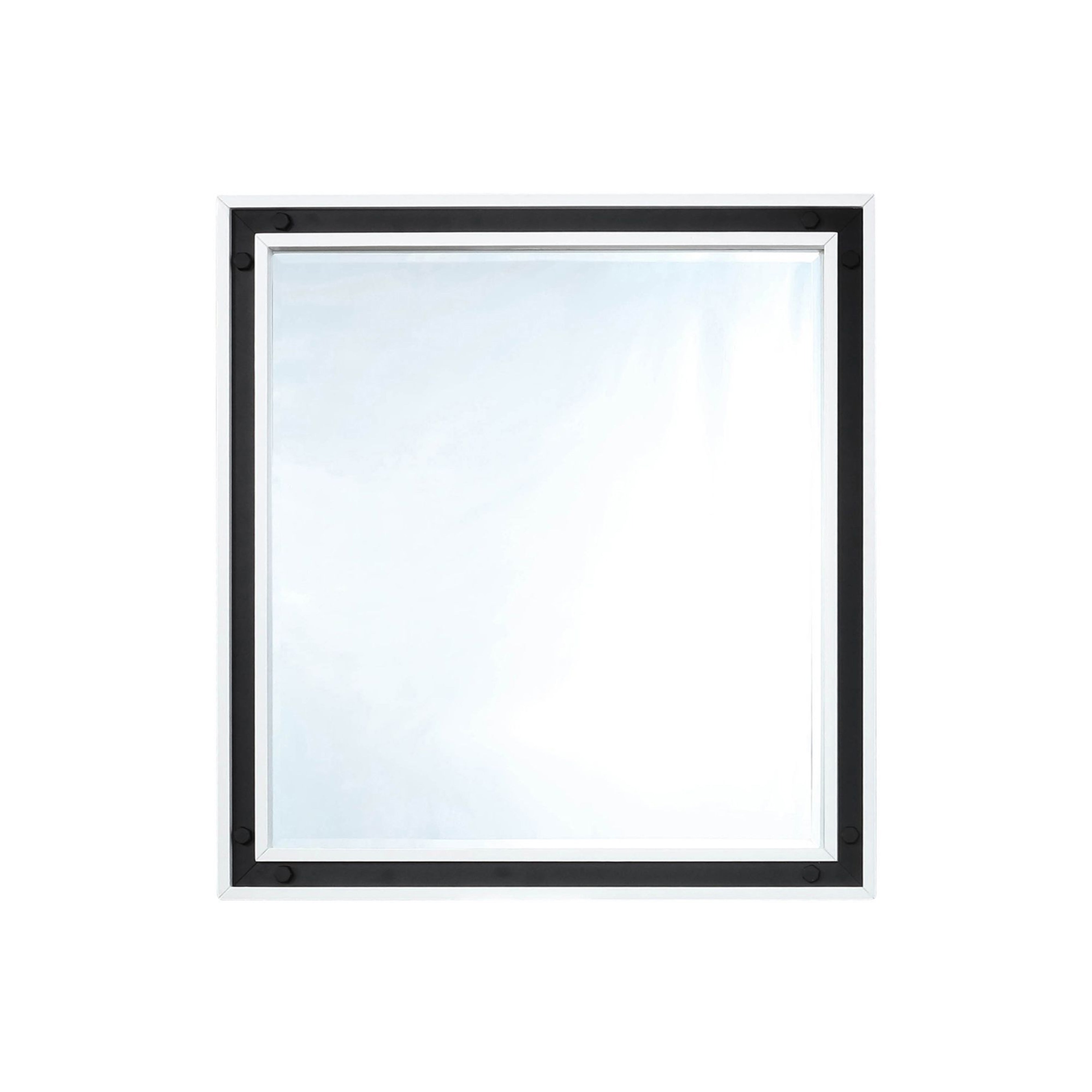 Ziva 34 in W x 32 in H Mirror with Black Metal Inlay