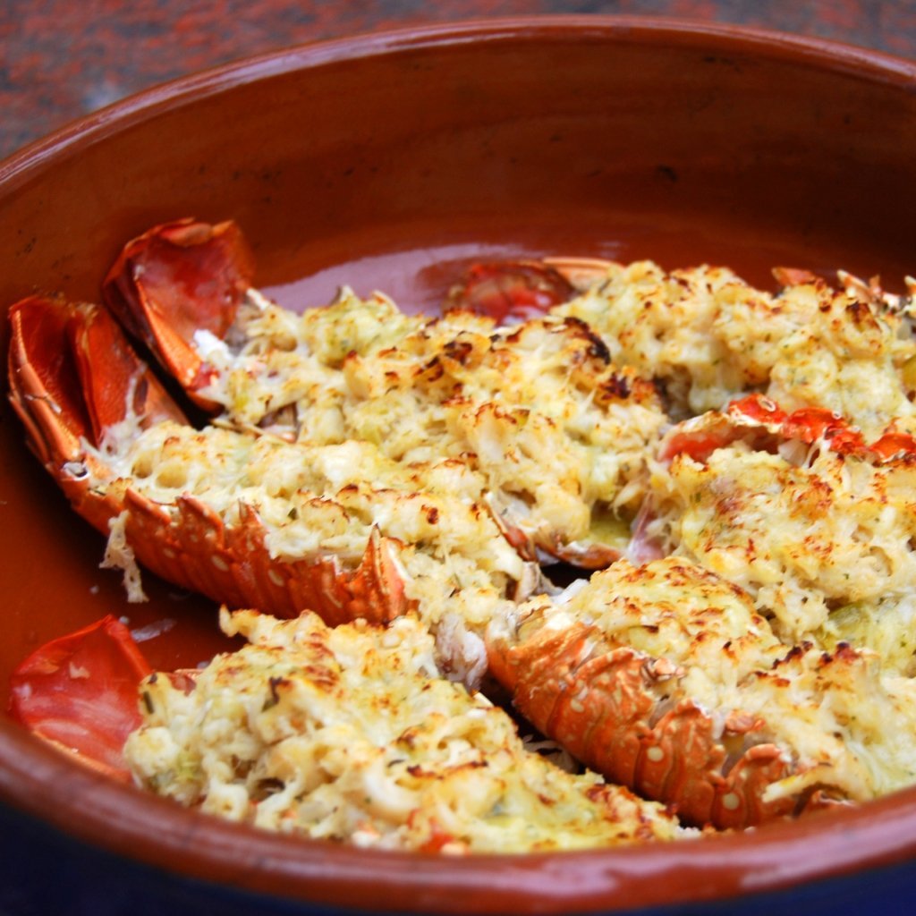 CBO 500 Countertop | Wood Fired Pizza Oven | 27" x 22" Cooking Surface