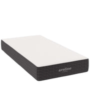 Modway Aveline 10" Twin Mattress