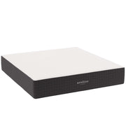 Modway Aveline 14" Memory Foam King Mattress